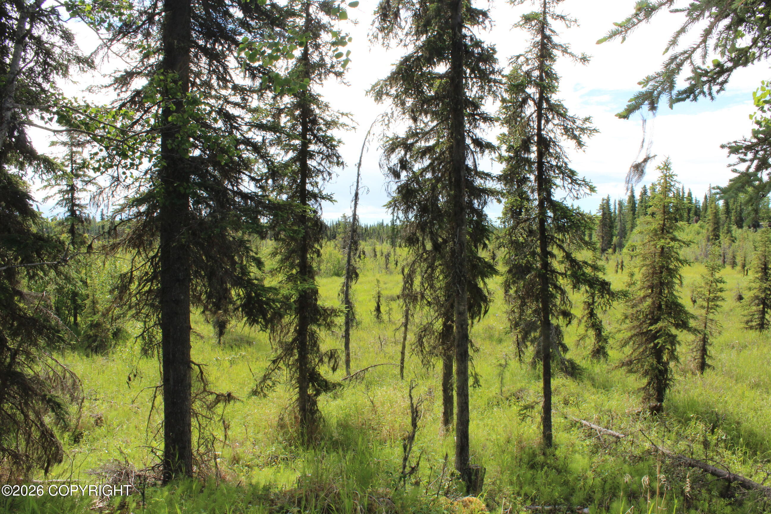 L3b2 Crooked Creek Road Property Photo 3