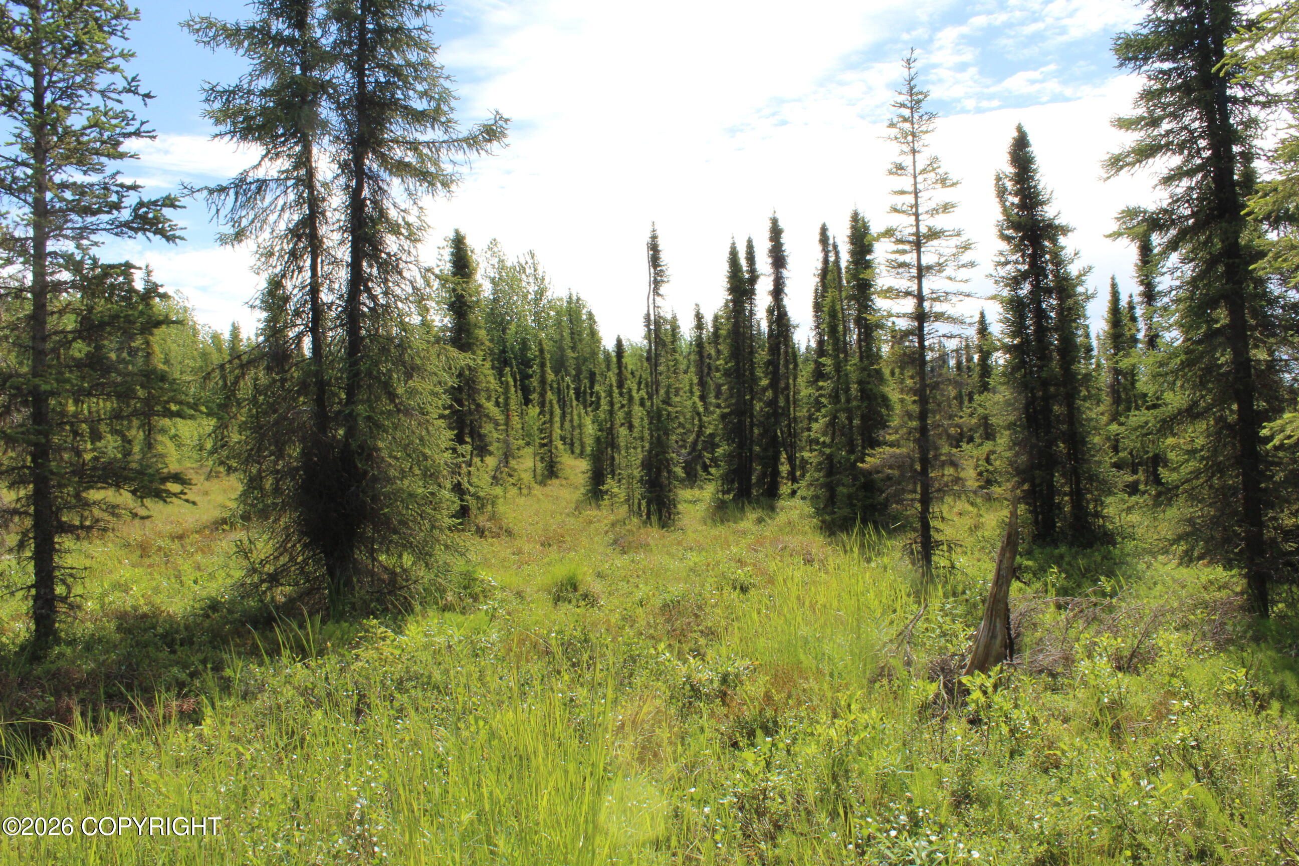 L3b2 Crooked Creek Road Property Photo 6