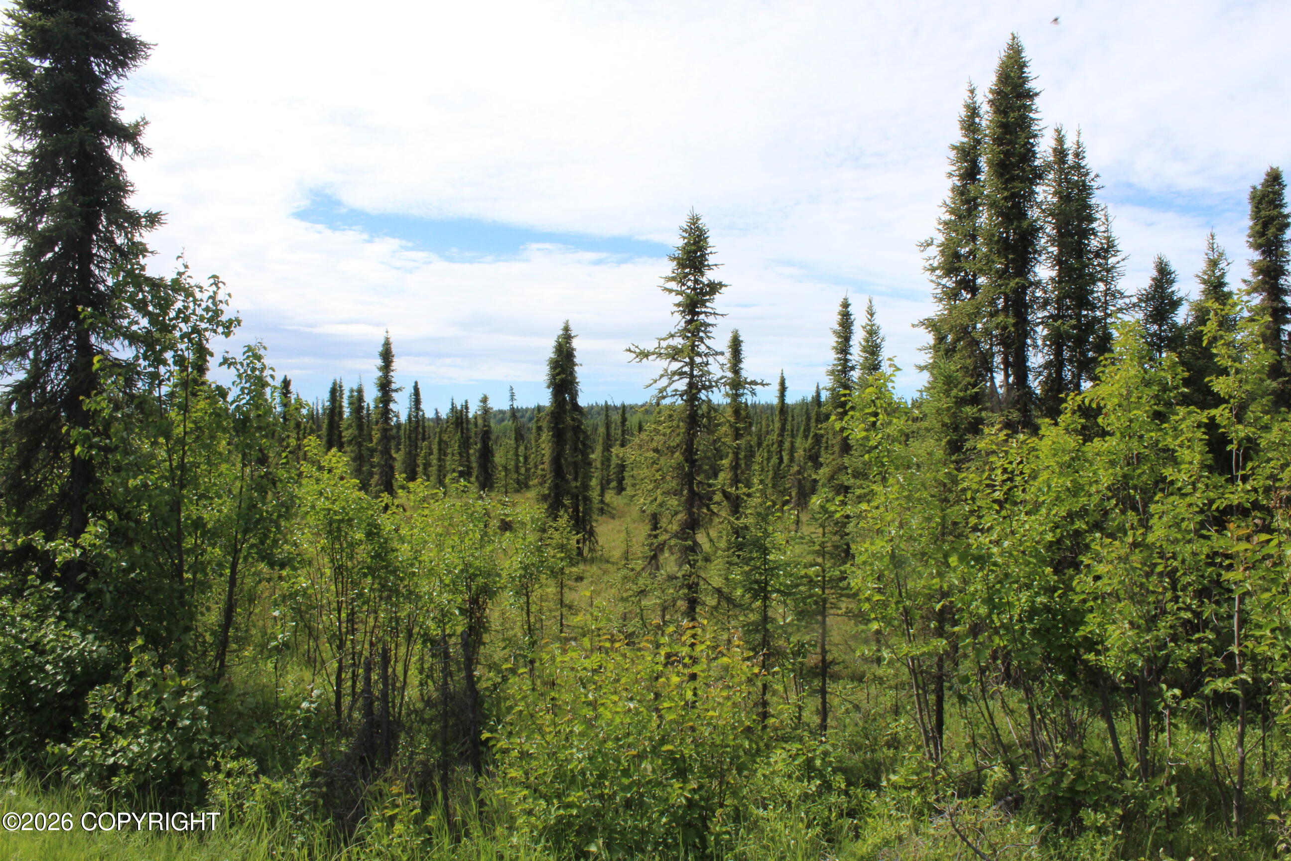 L3b2 Crooked Creek Road Property Photo 8