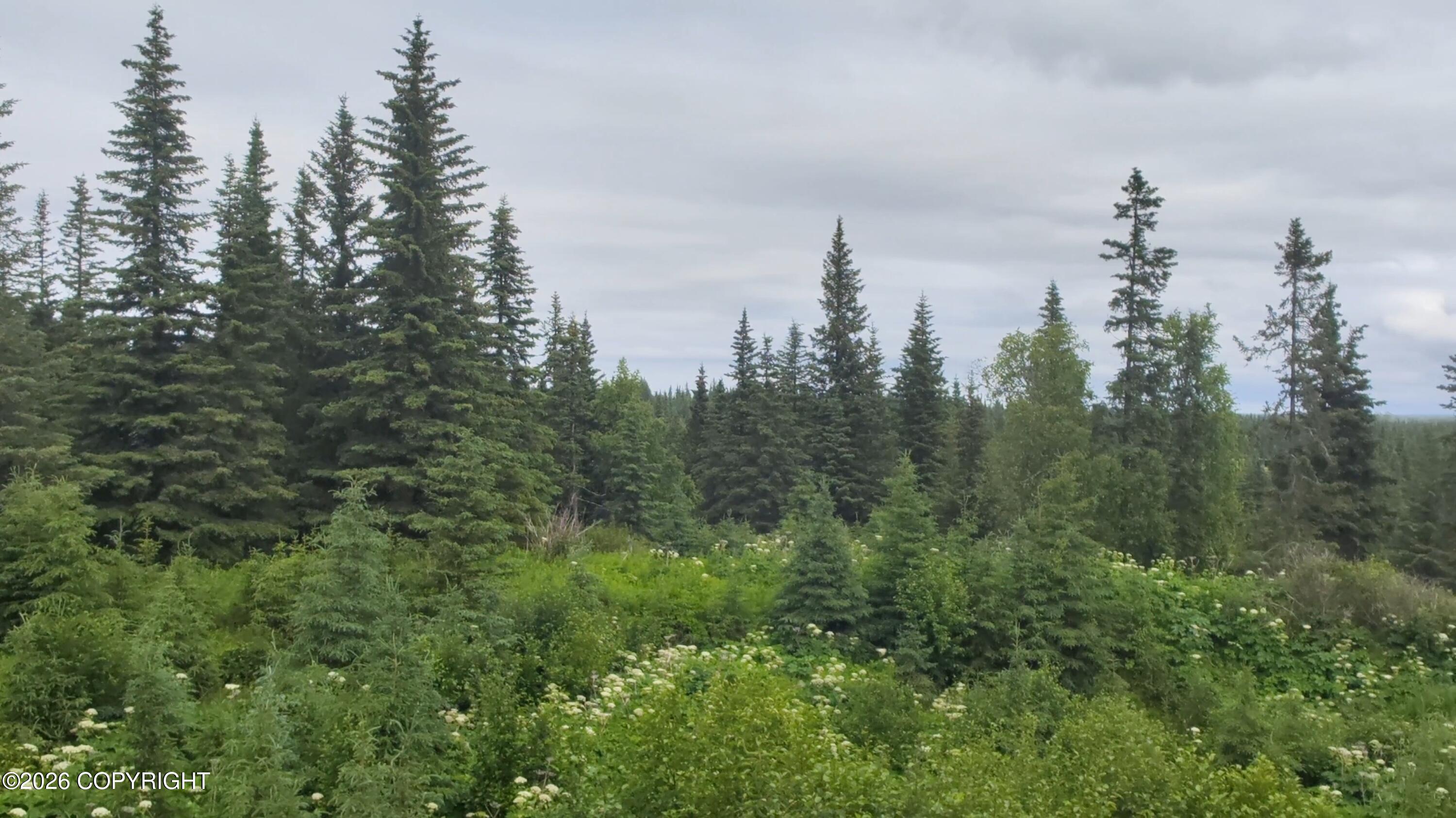 67164 Deep Crk Road Property Photo 2