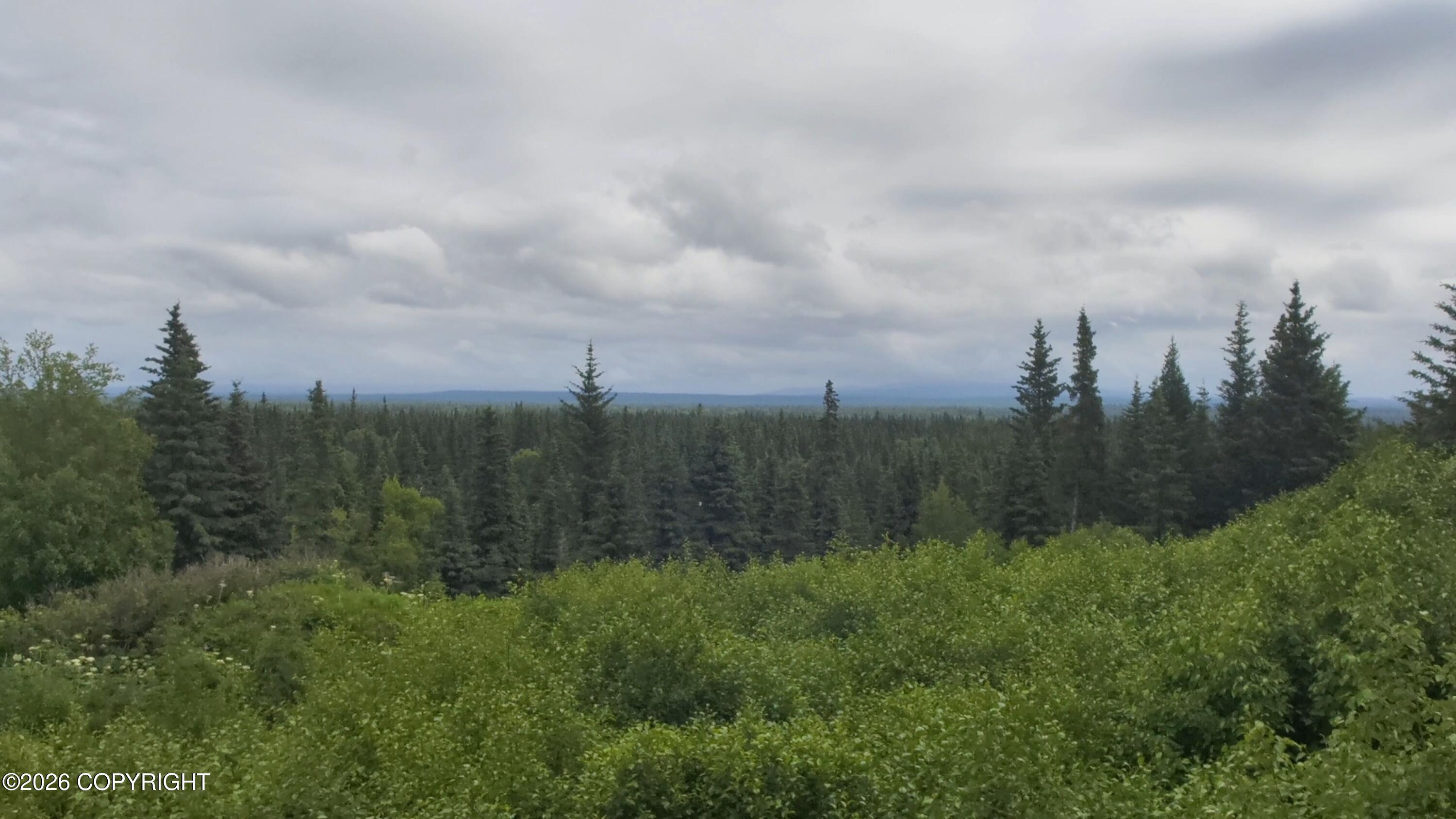67164 Deep Crk Road Property Photo 3