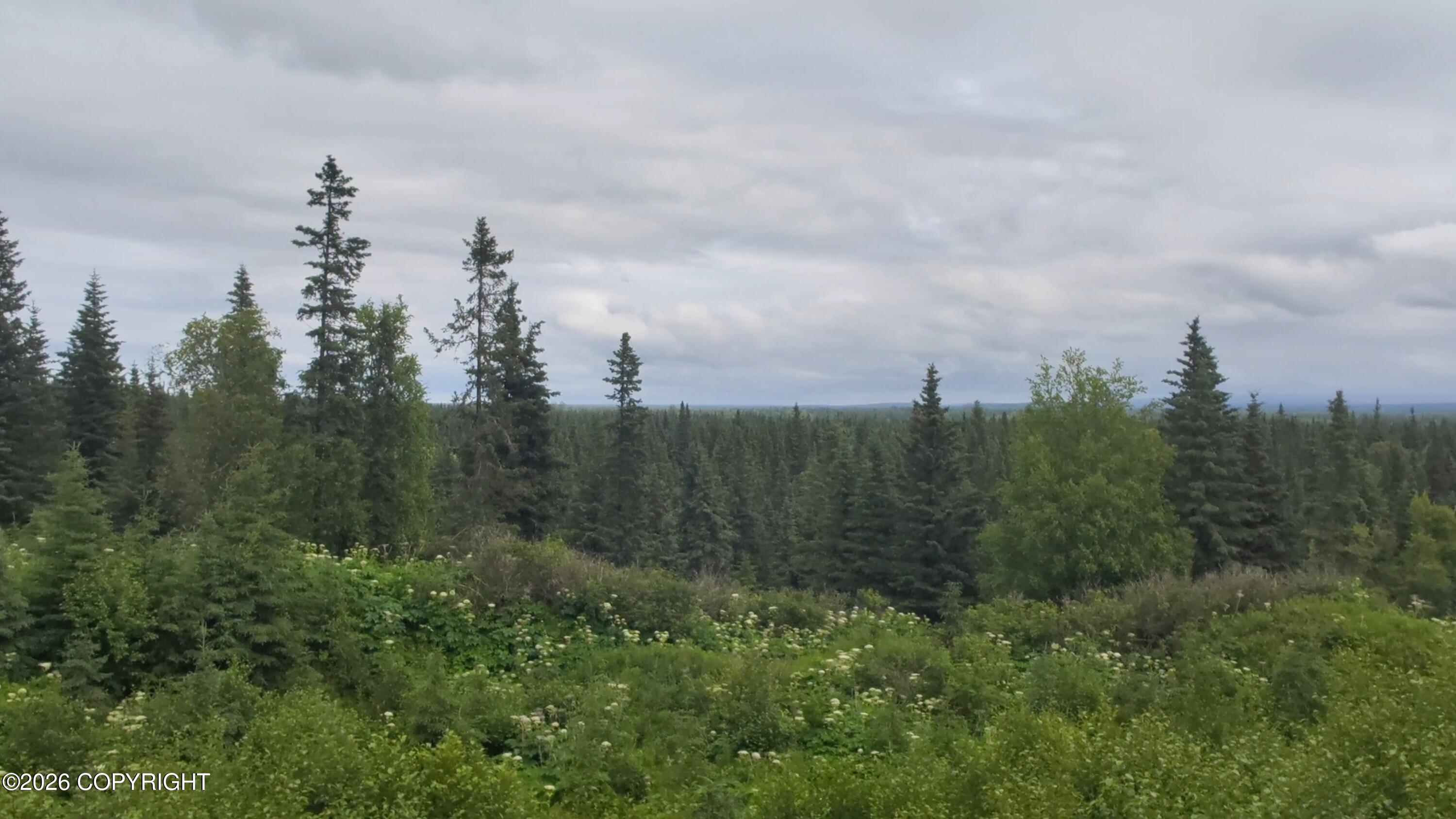 67164 Deep Crk Road Property Photo 6