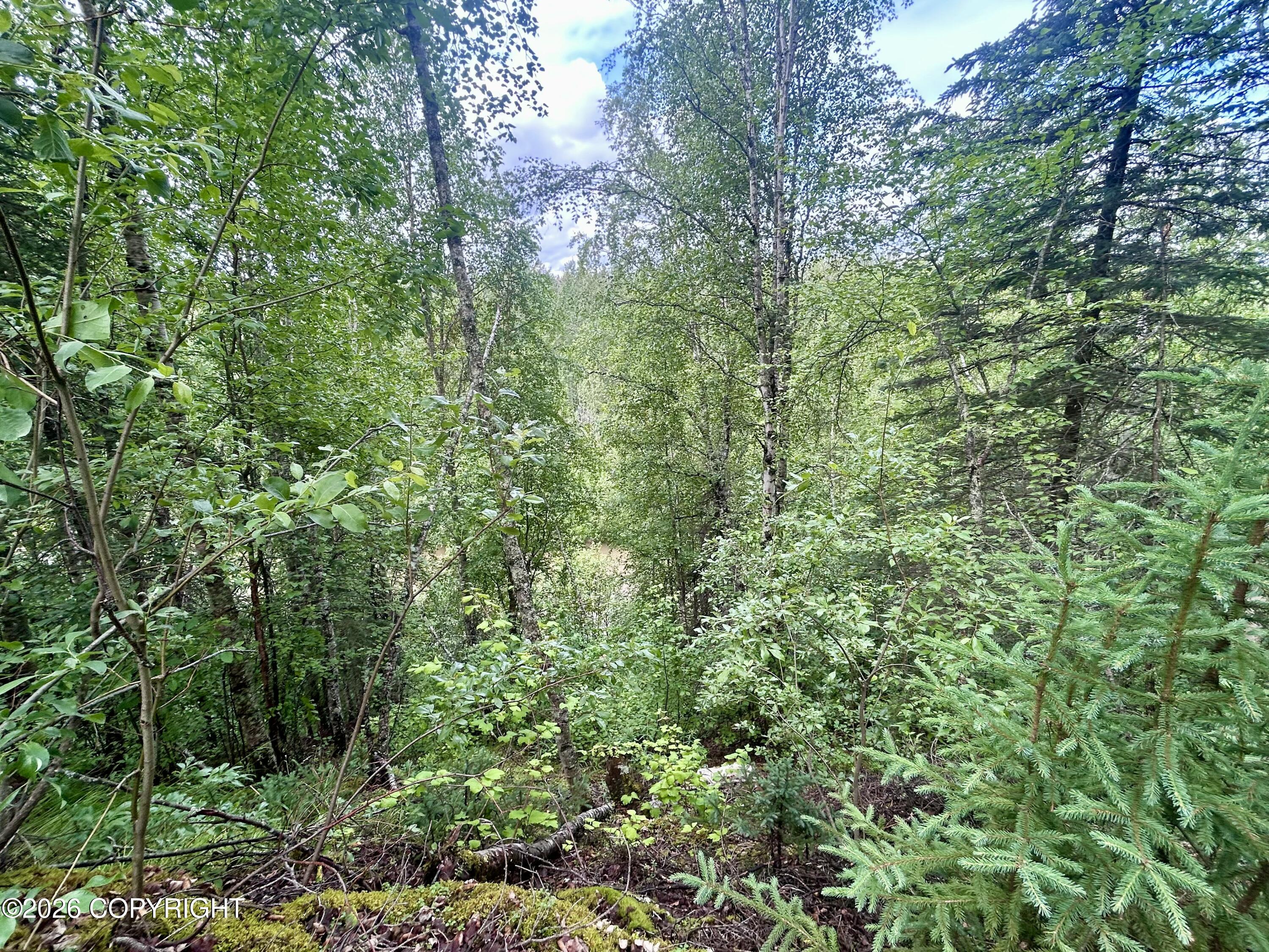 47068 S Merlin Drive Property Photo 22