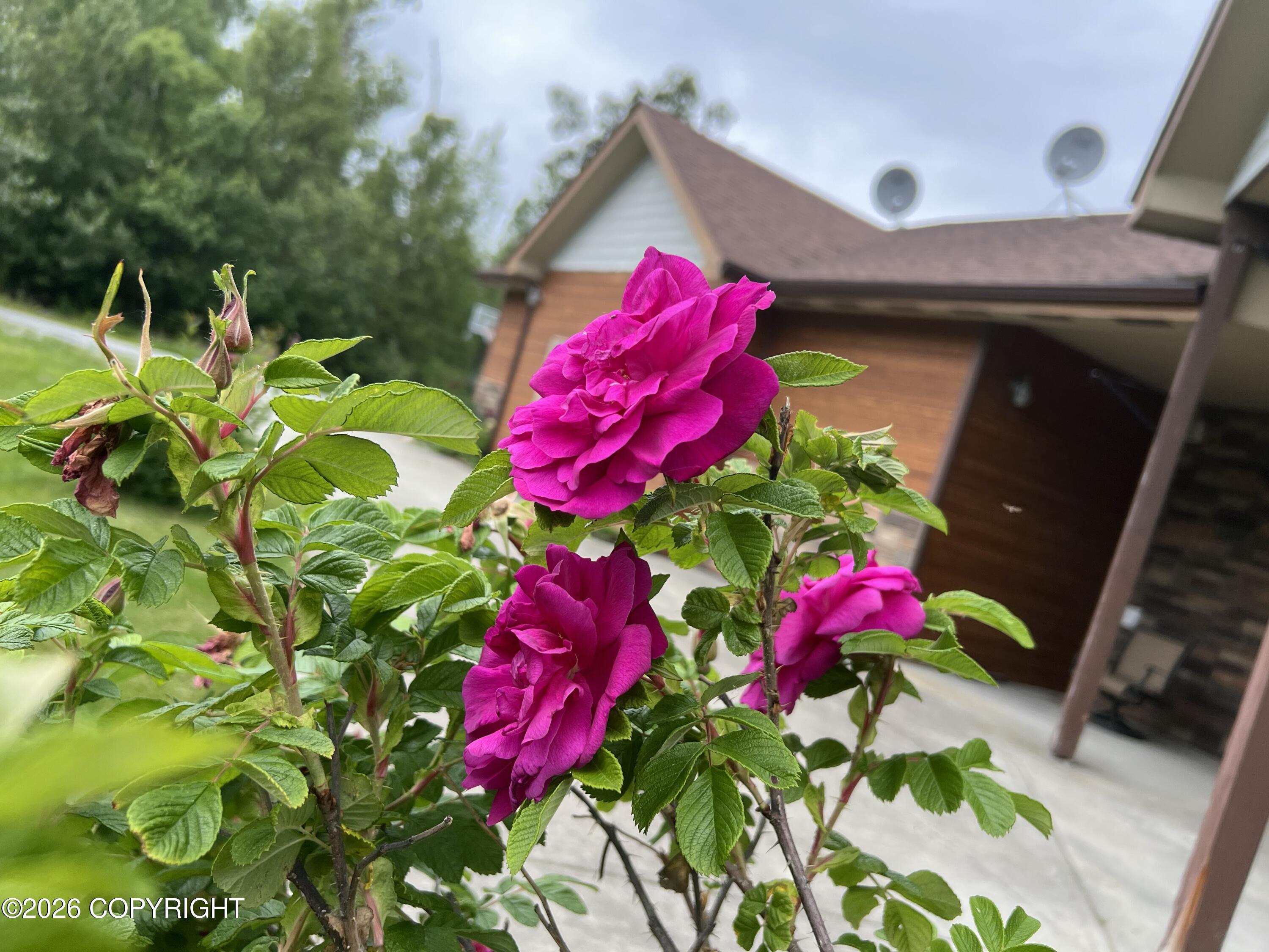 3684 N Puffin Circle Property Photo 29