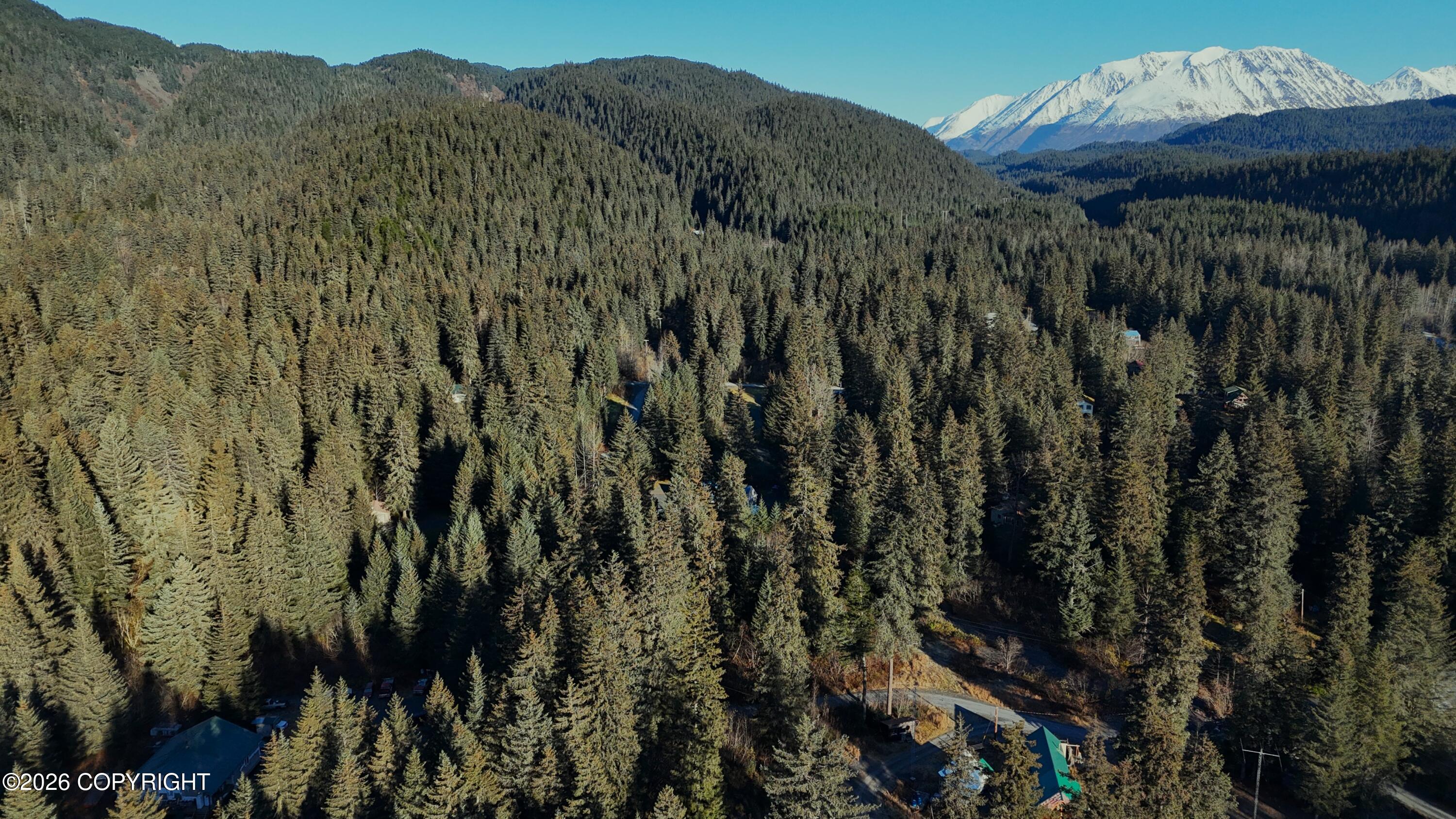 14835 Seward Highway Property Photo 2