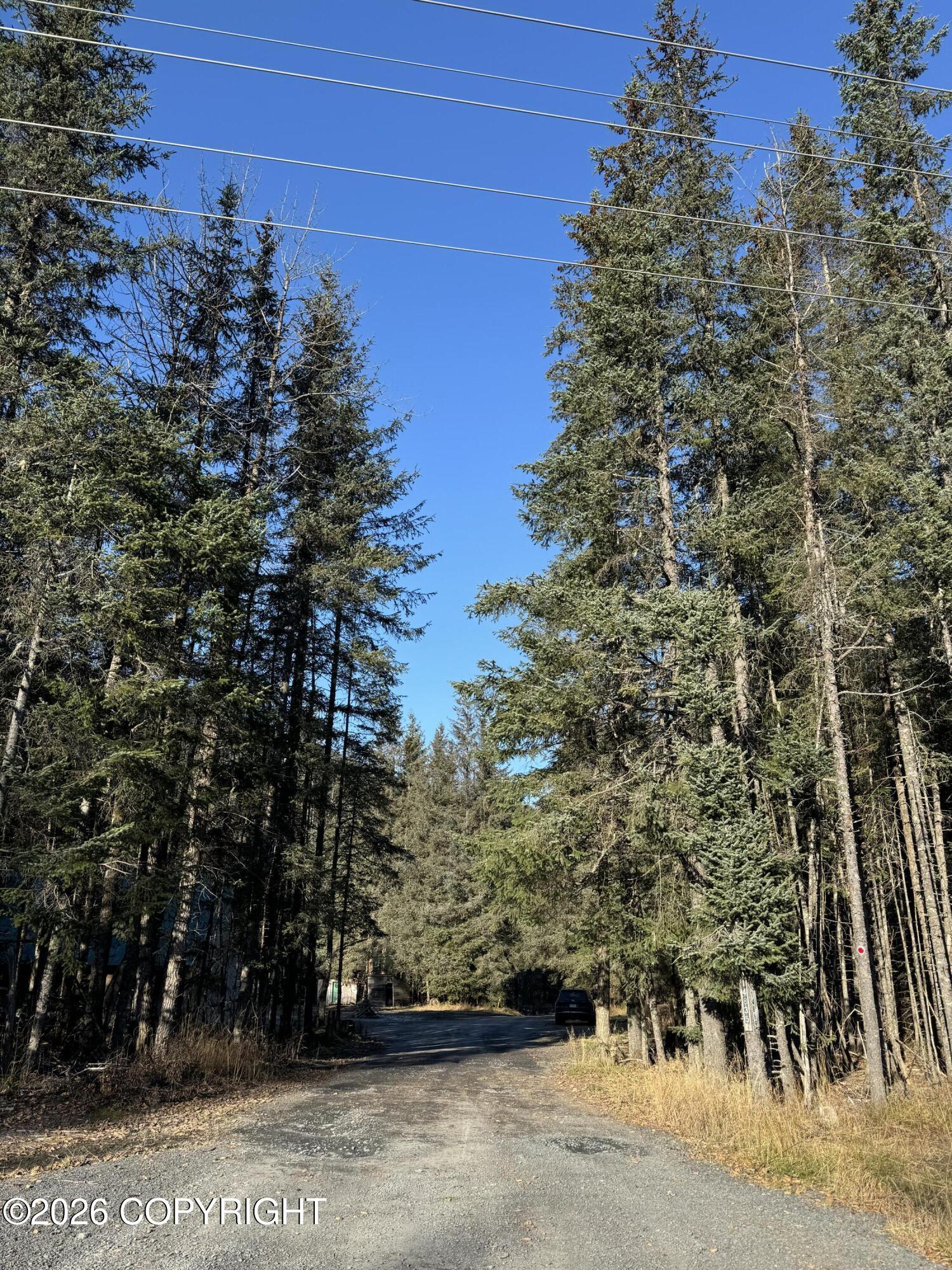 14835 Seward Highway Property Photo 7