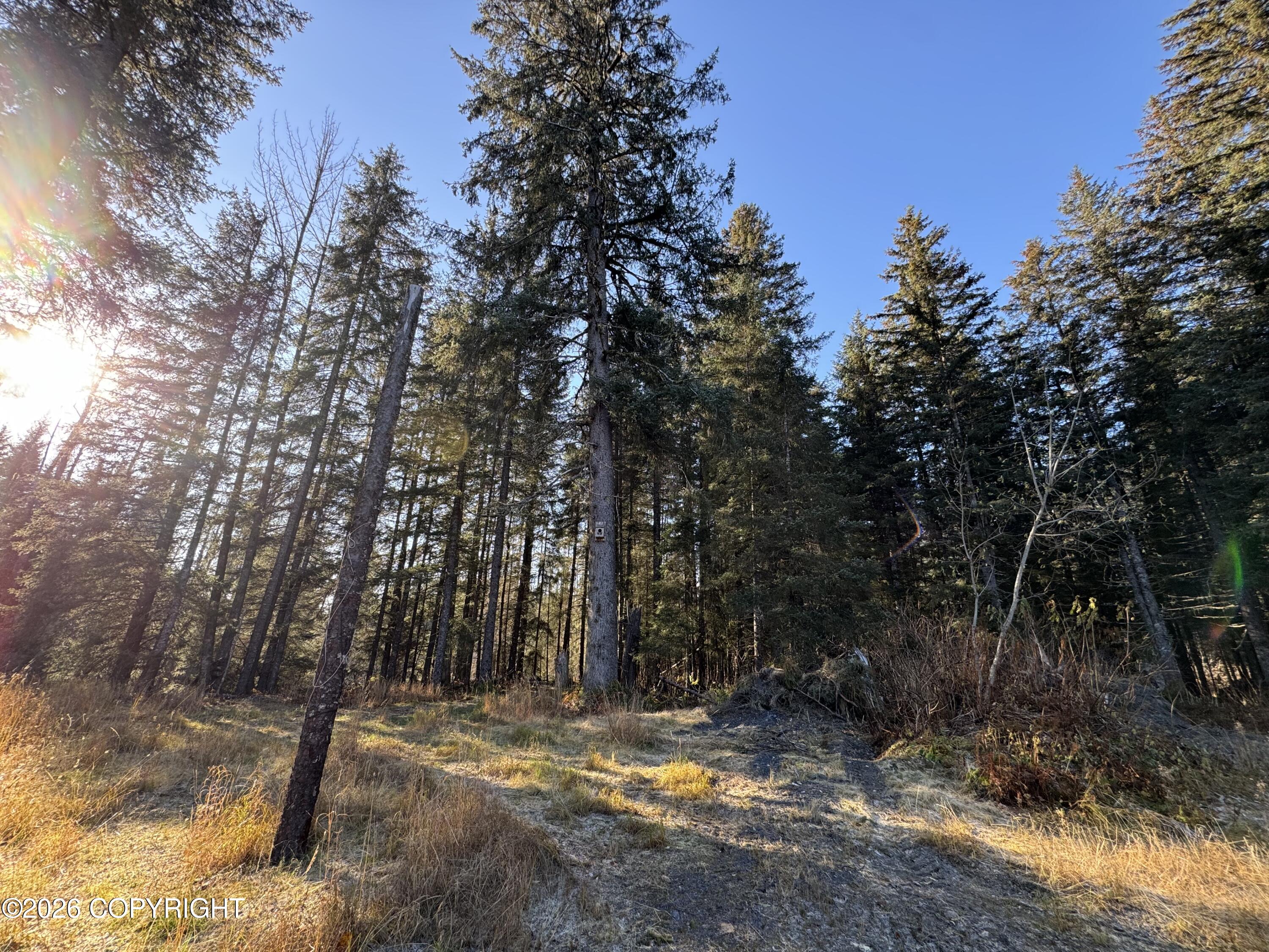 14835 Seward Highway Property Photo 9