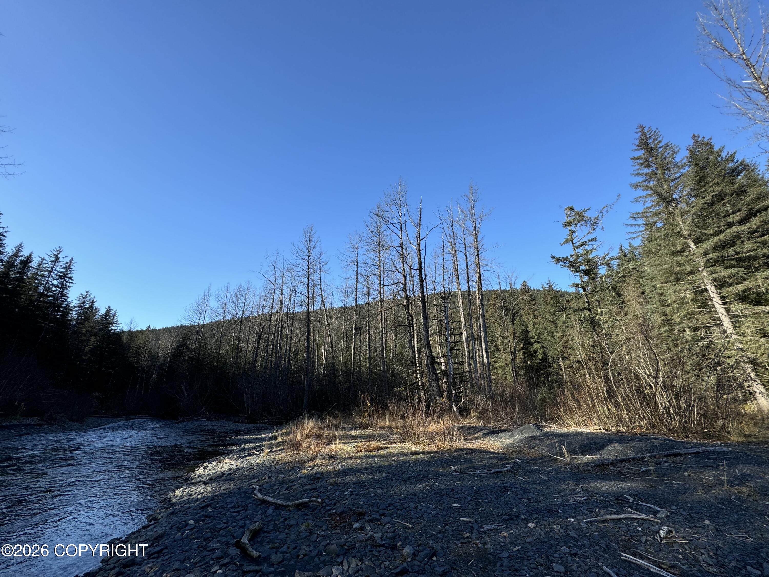 14835 Seward Highway Property Photo 11