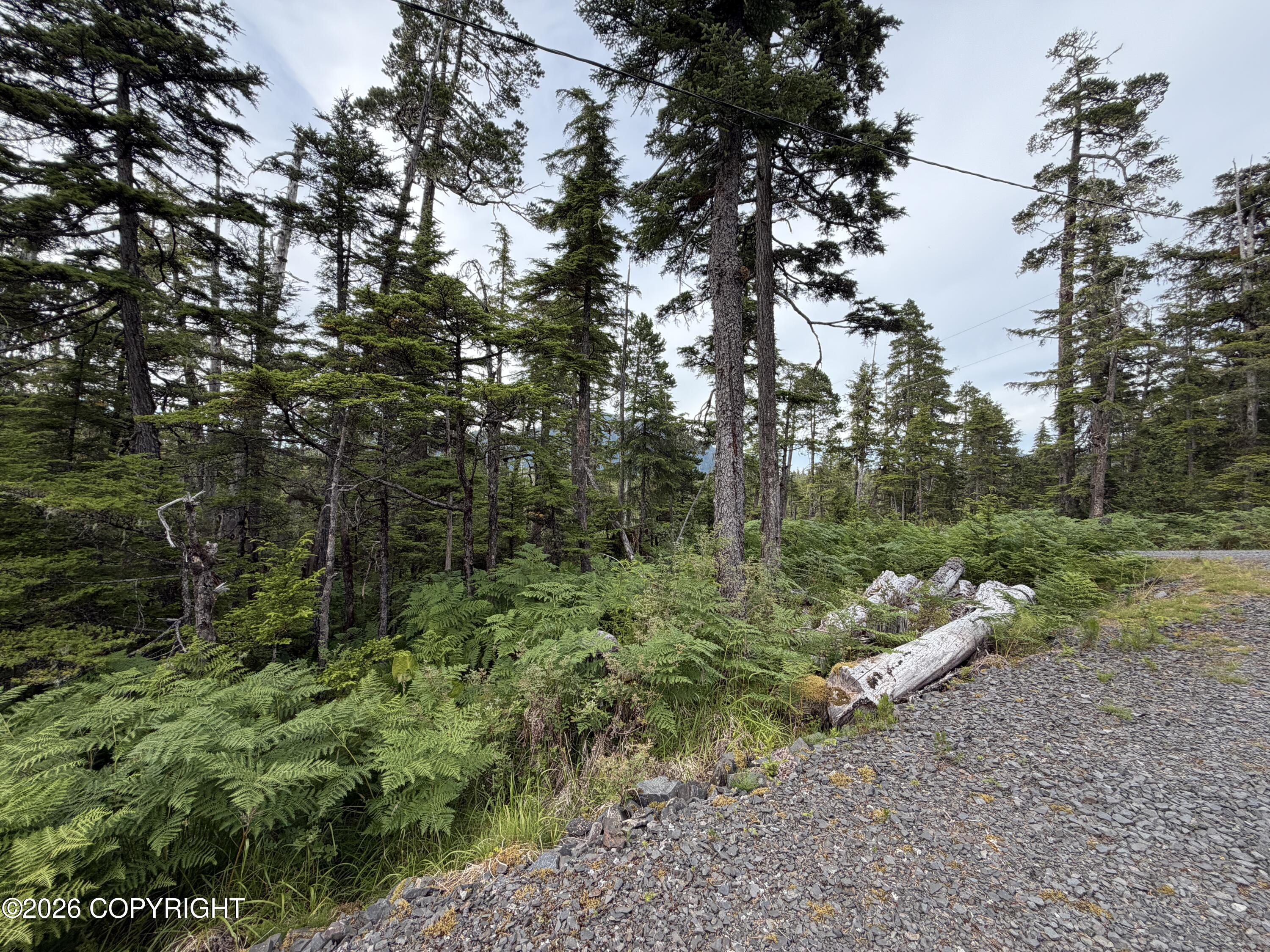10 Aardal Lane Property Photo 4