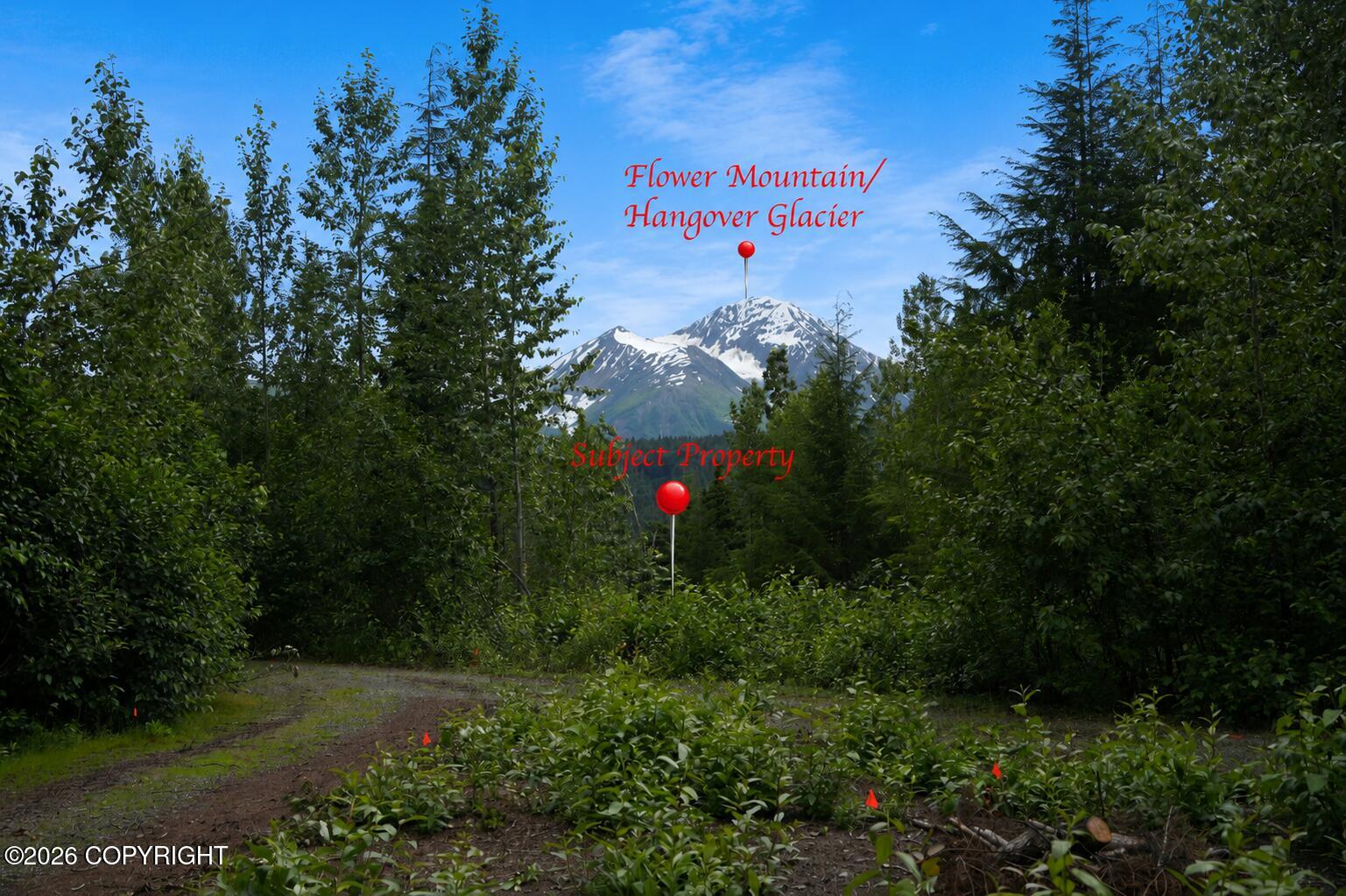 Lot 20 Buckeye Lane Property Photo 1
