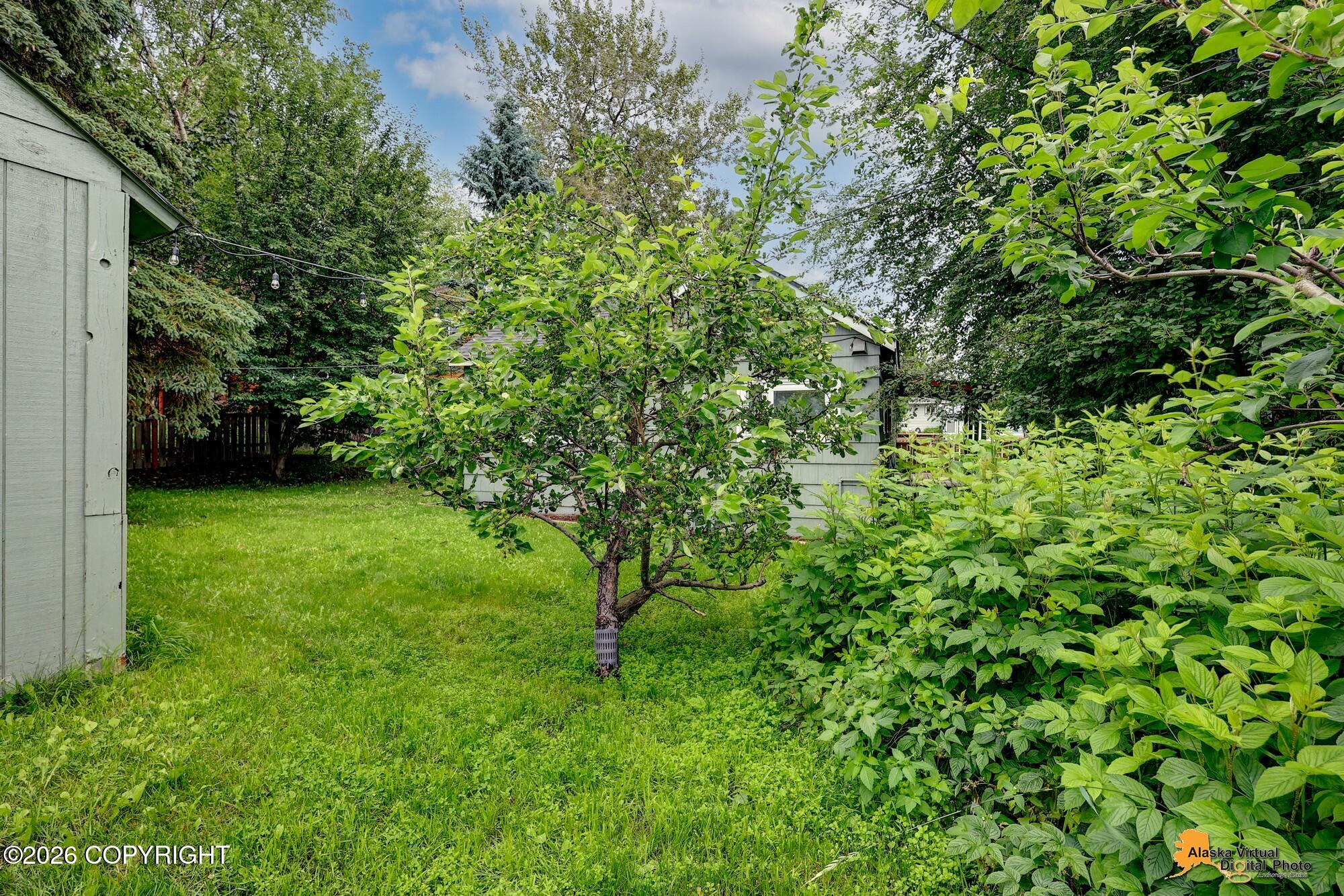 5514 Cope Street Property Photo 46