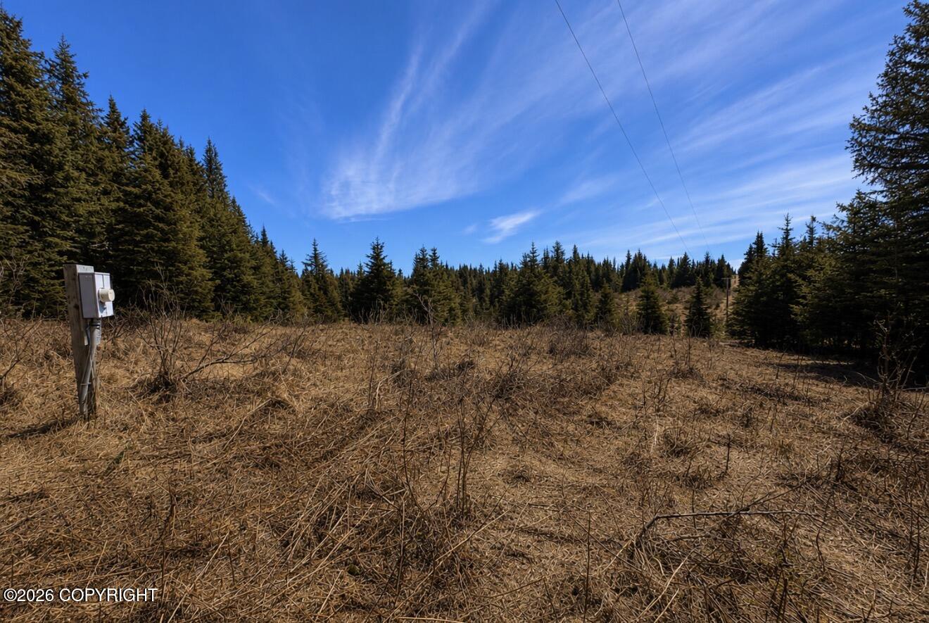 000 Twitter Creek Lane Property Photo 1