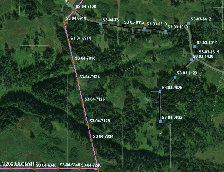 000 Twitter Creek Lane Property Photo 4
