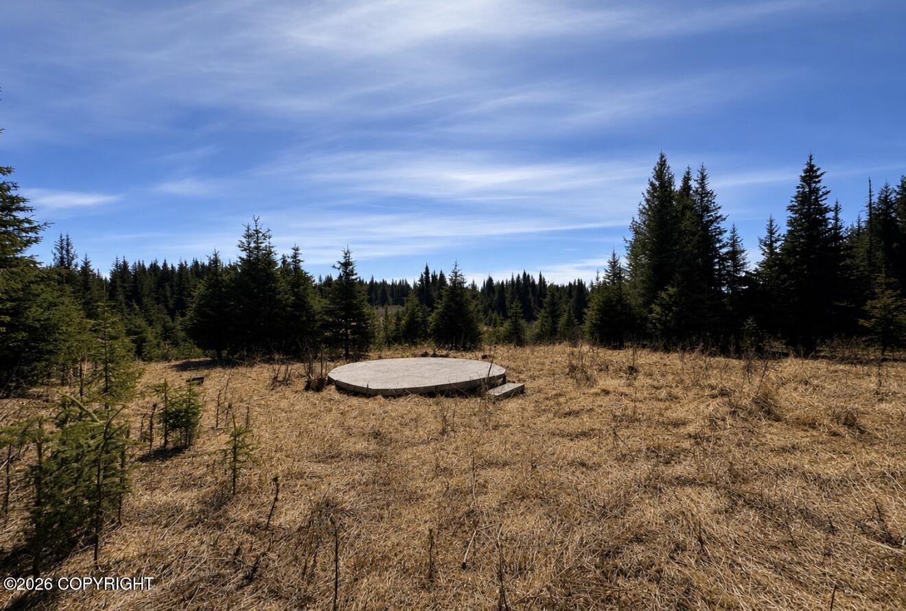 000 Twitter Creek Lane Property Photo 6