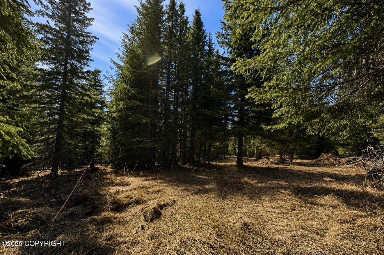000 Twitter Creek Lane Property Photo 8