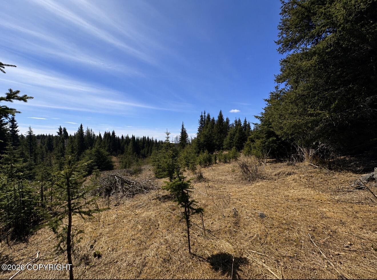 000 Twitter Creek Lane Property Photo 9