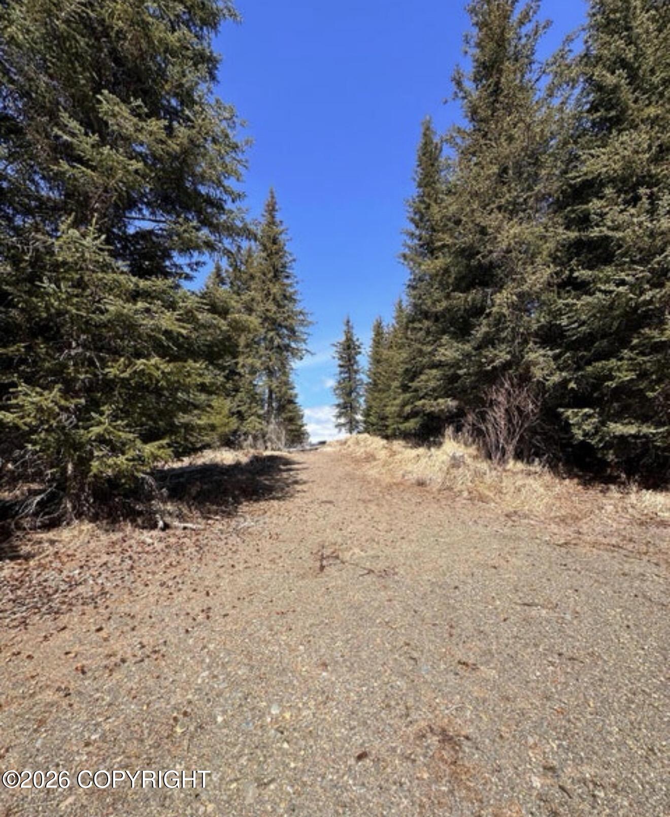 000 Twitter Creek Lane Property Photo 12