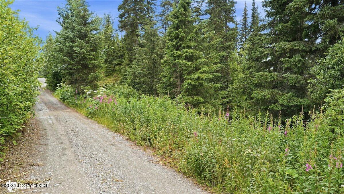 72430 Norwegian Woods Road Property Photo 3
