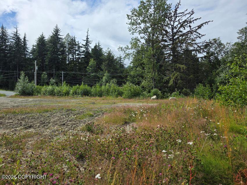 9 Third Avenue Property Photo 1