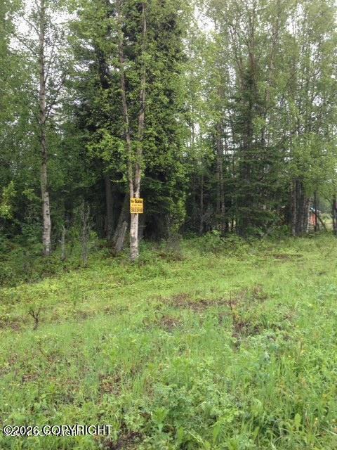 49335 Sterling Highway Property Photo 1