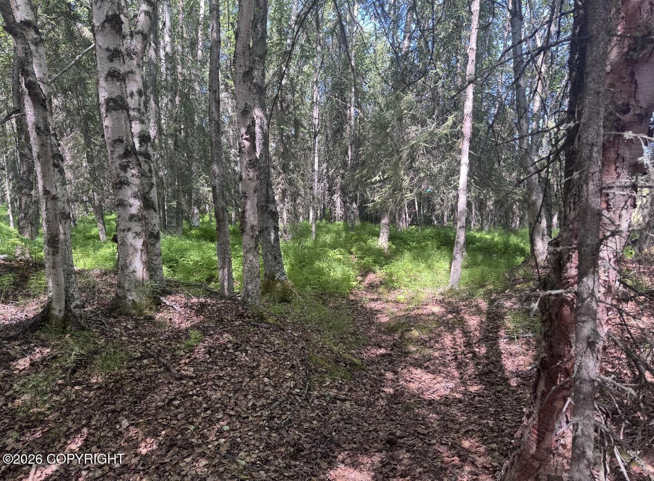 52555 Sterling Highway Property Photo 23