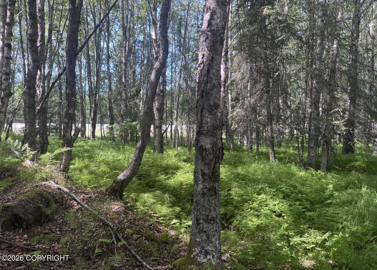 52555 Sterling Highway Property Photo 25