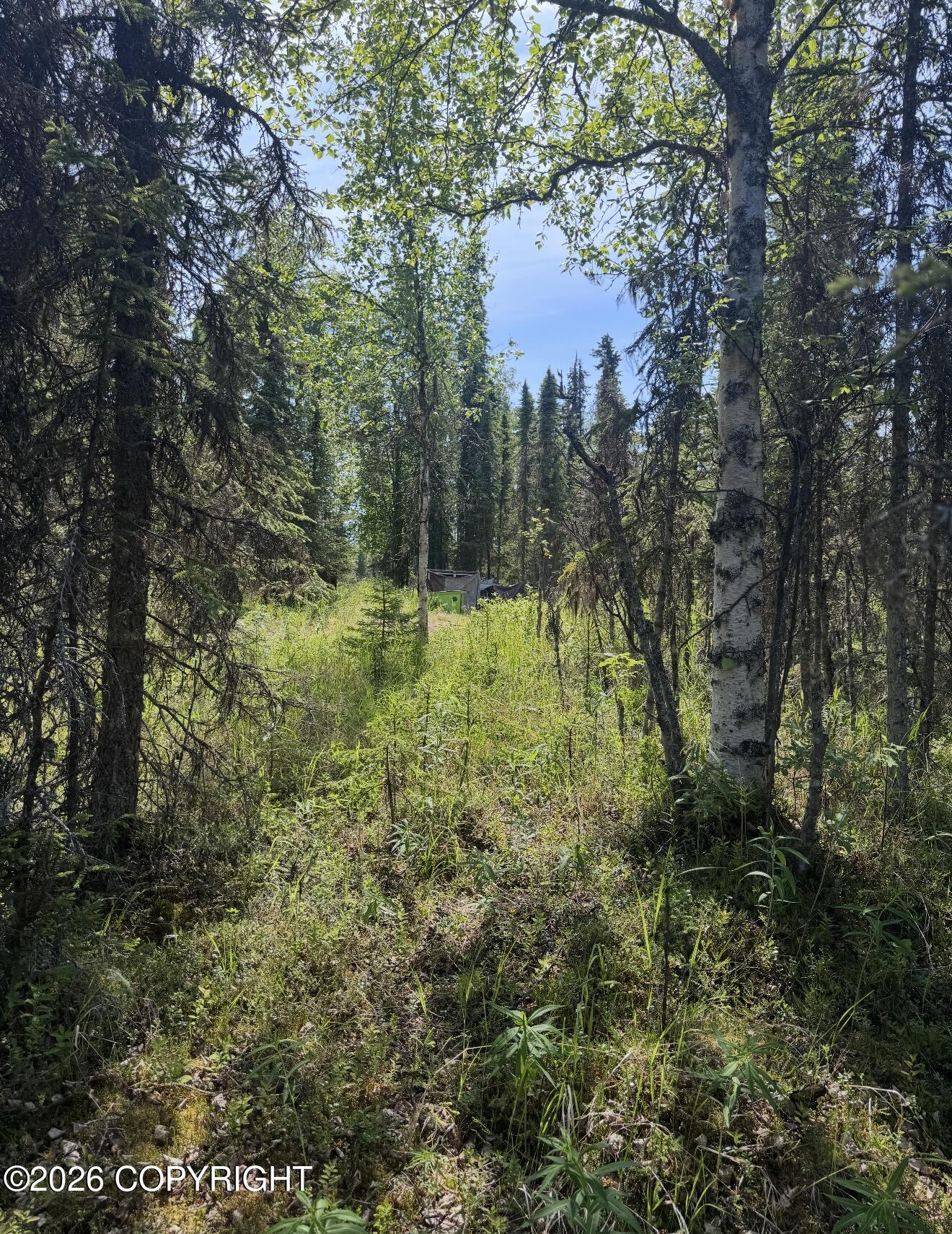 52555 Sterling Highway Property Photo 30