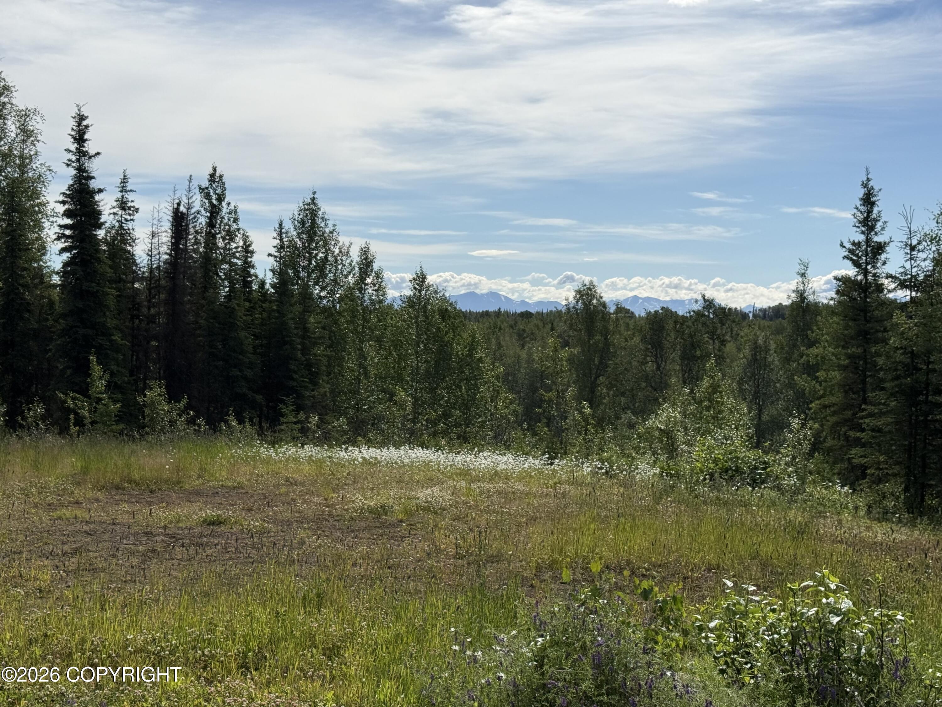 37436 Eaglewood Court Property Photo 2