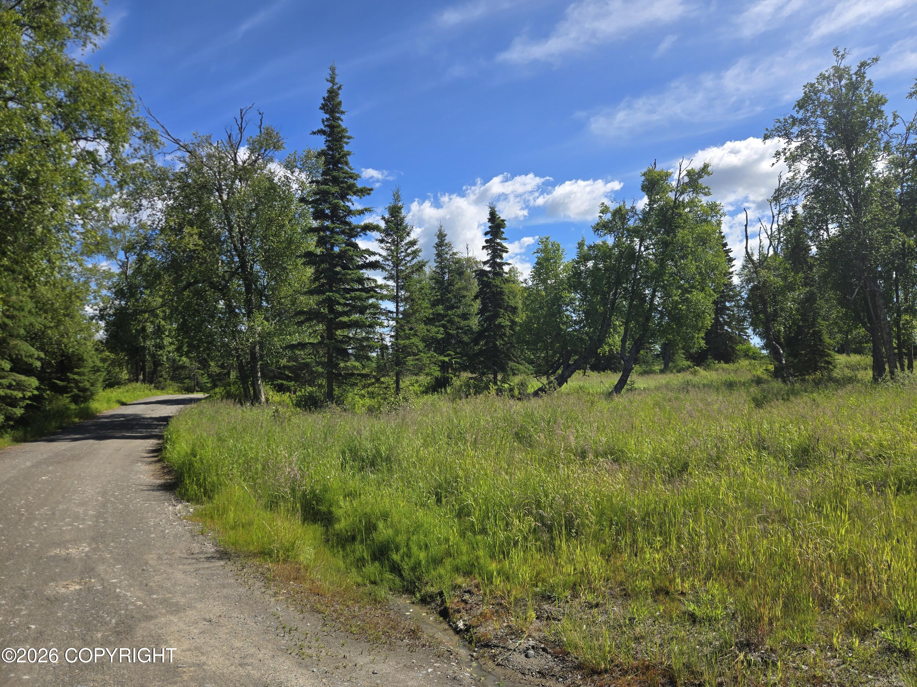 53347 Grindstone Avenue Property Photo 1