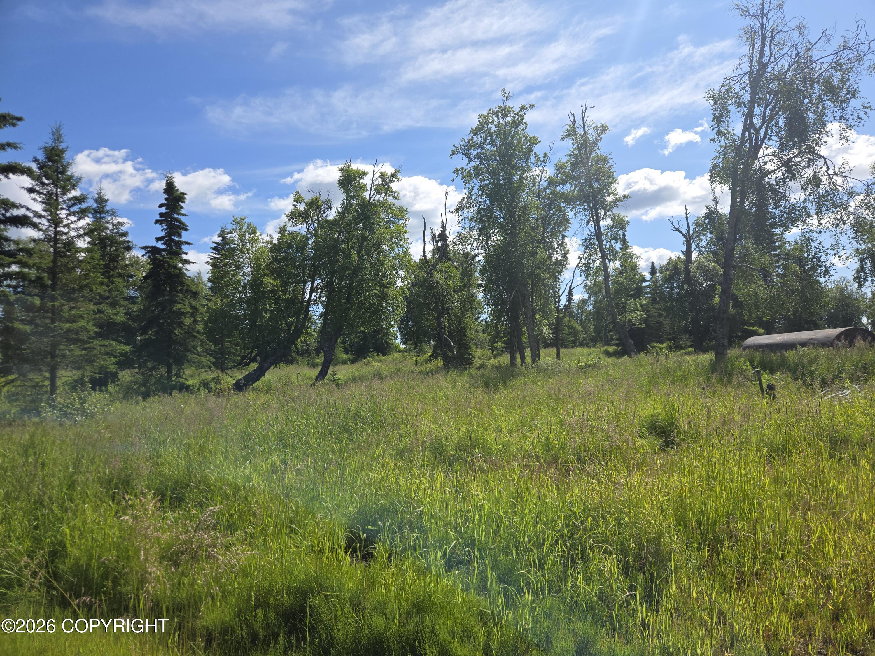 53347 Grindstone Avenue Property Photo 3