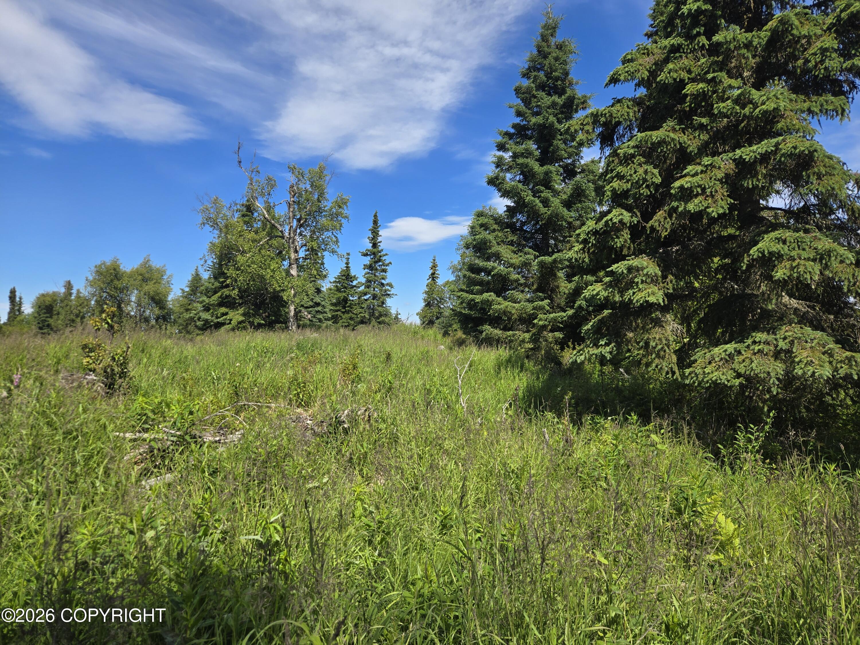 53347 Grindstone Avenue Property Photo 7