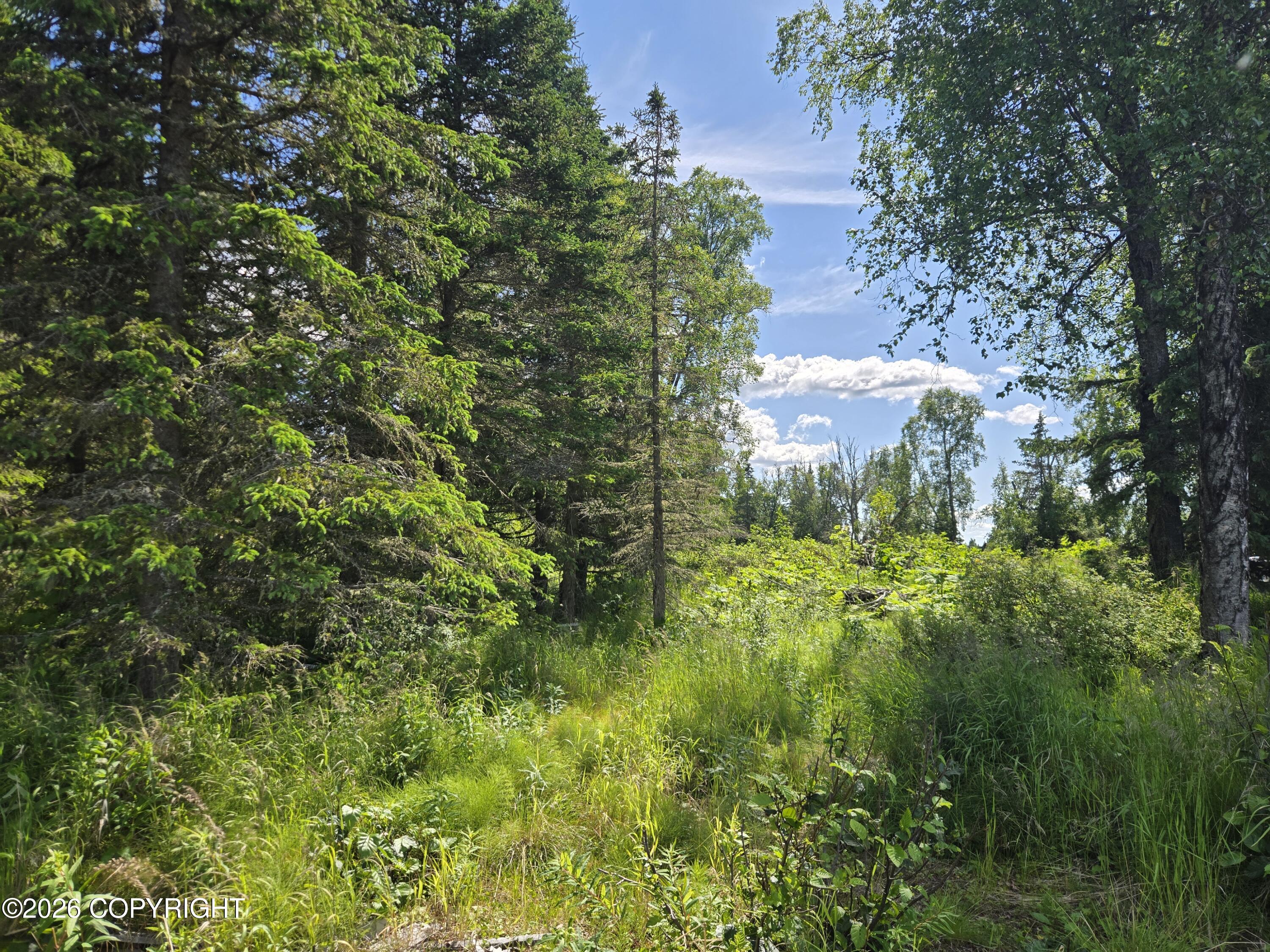 53347 Grindstone Avenue Property Photo 8