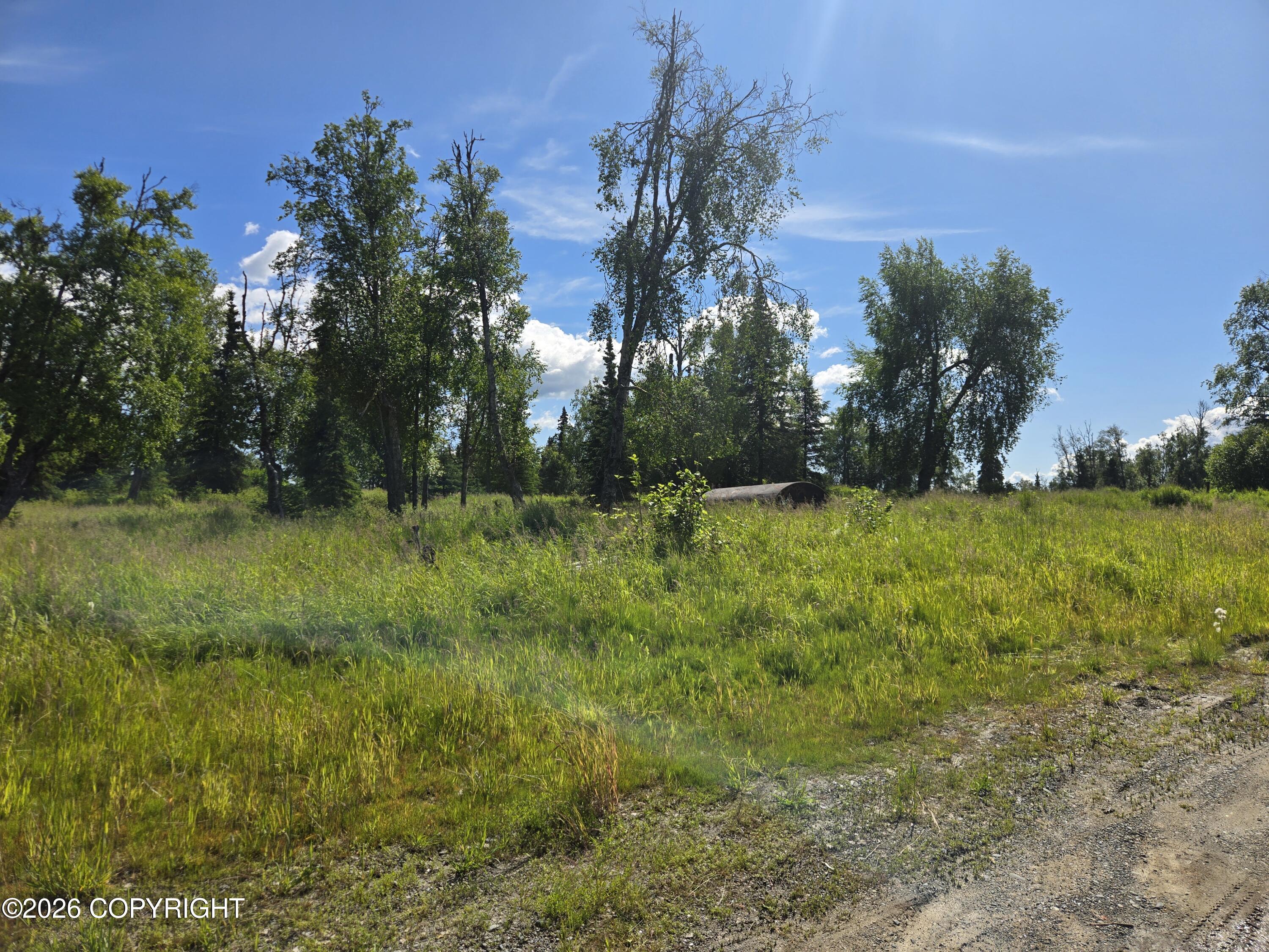 53347 Grindstone Avenue Property Photo 9