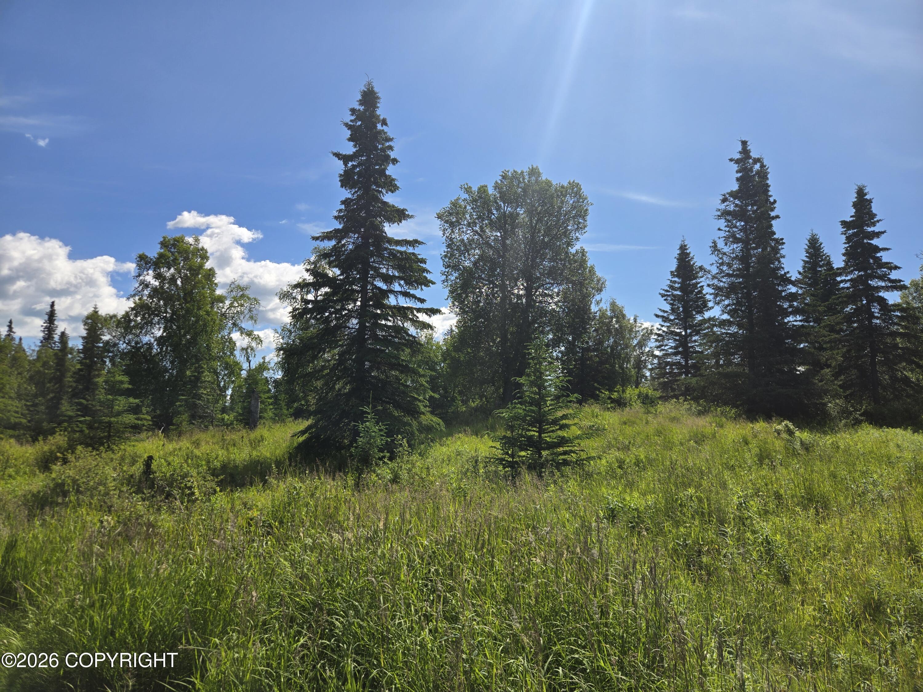 53347 Grindstone Avenue Property Photo 16