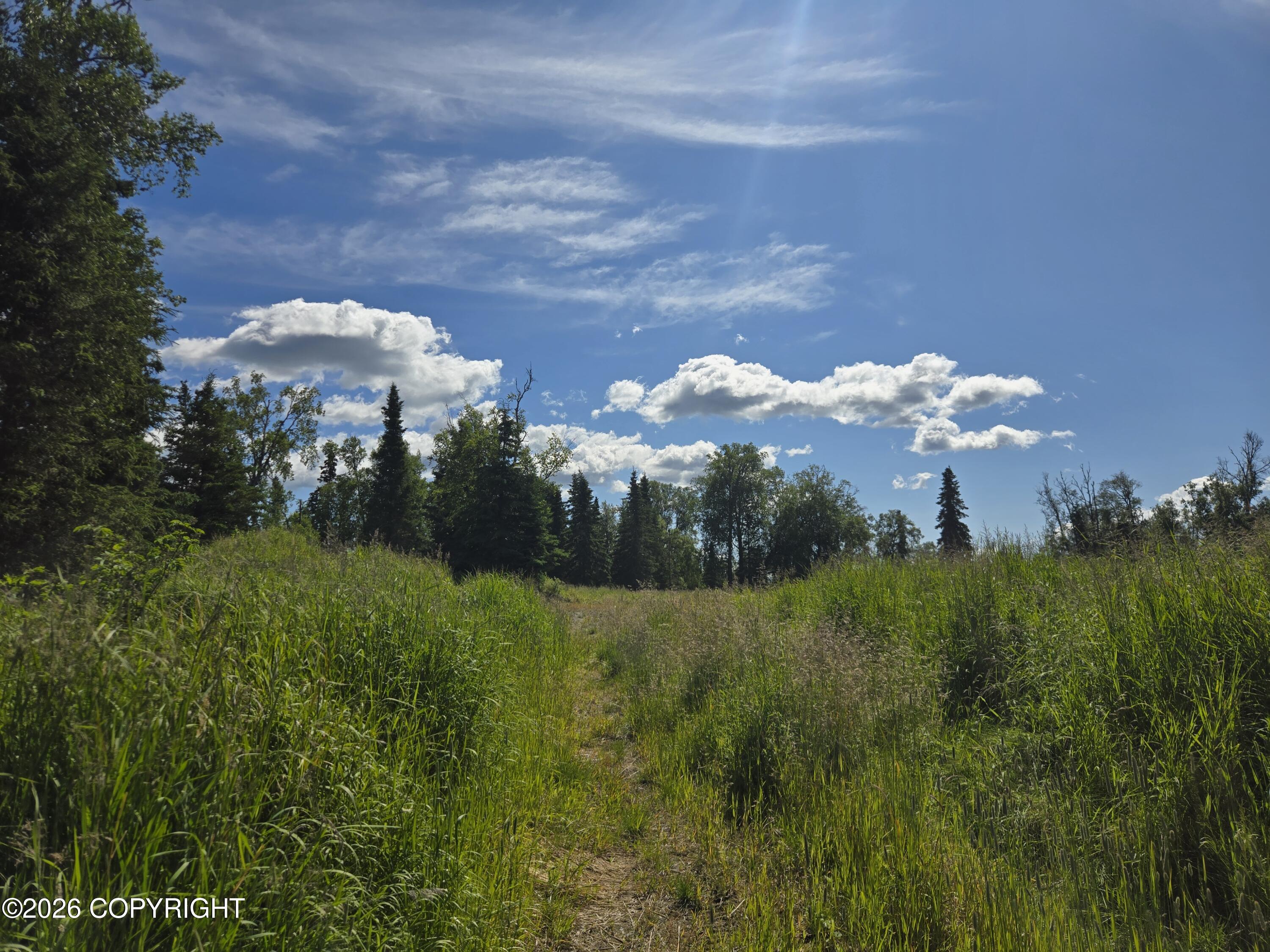 53347 Grindstone Avenue Property Photo 17