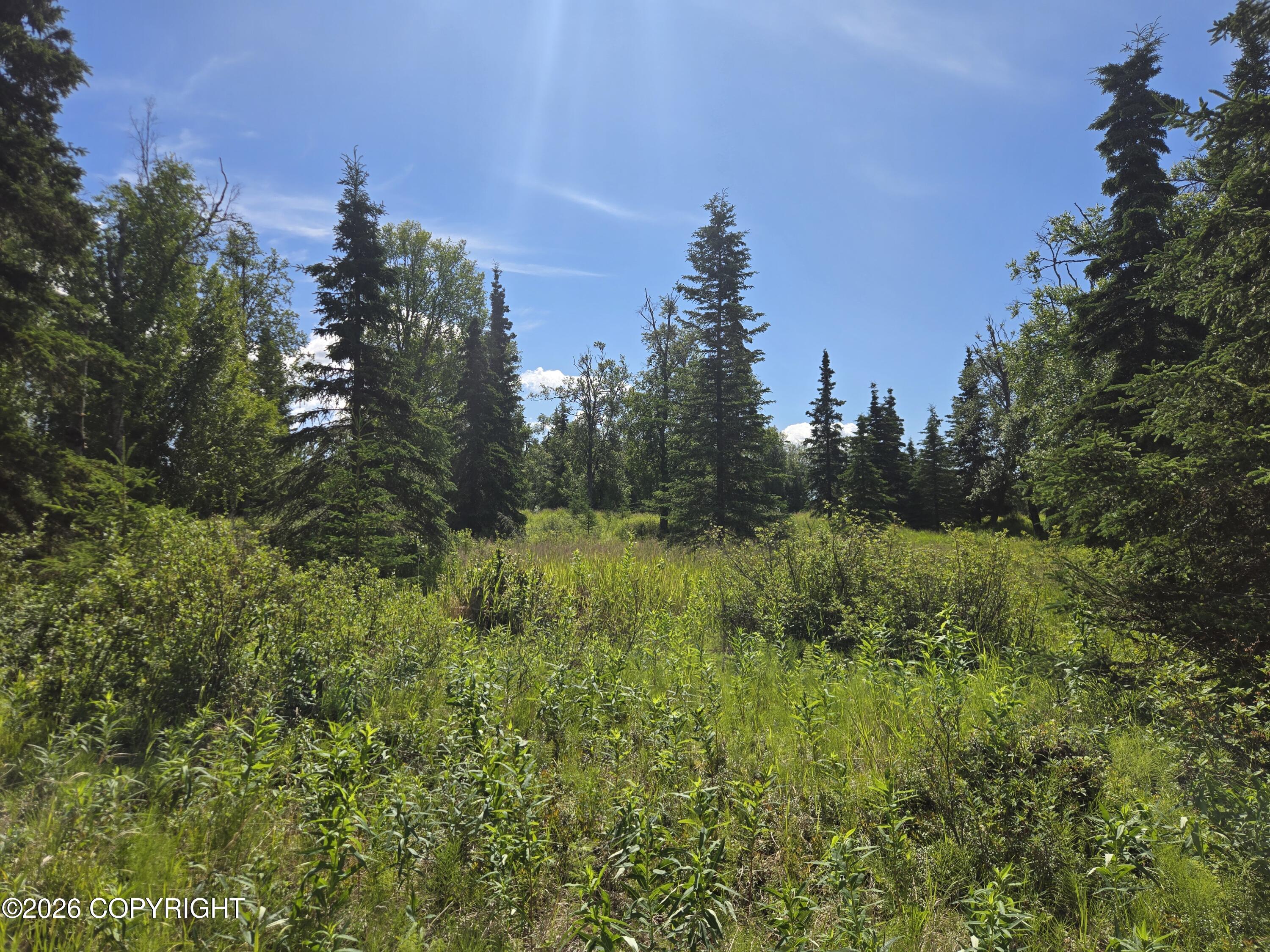 53347 Grindstone Avenue Property Photo 25