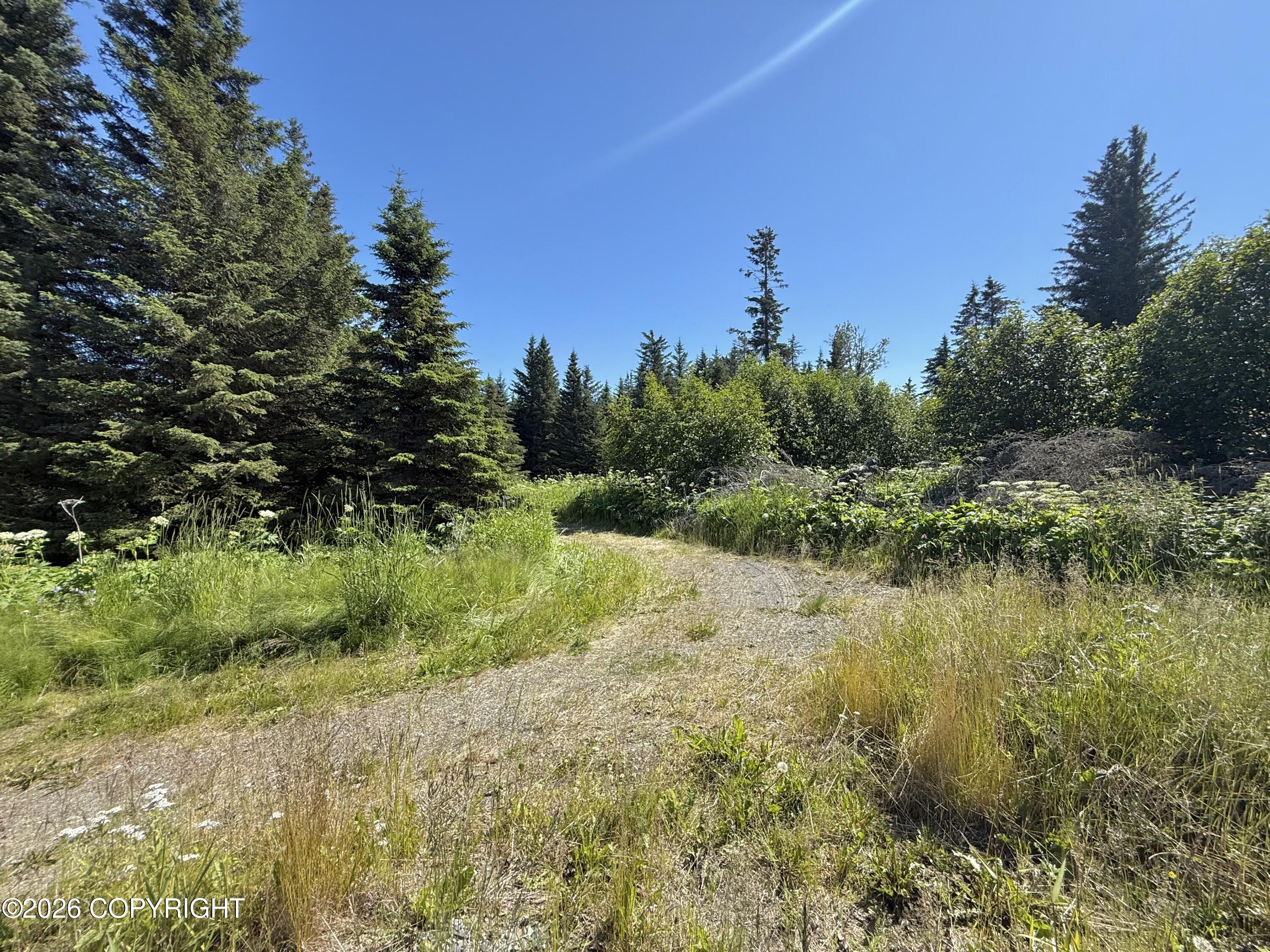 32775 Shorebird Lane Property Photo 15