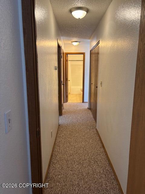 1180 Golden Dawn Circle #4 Property Photo 5