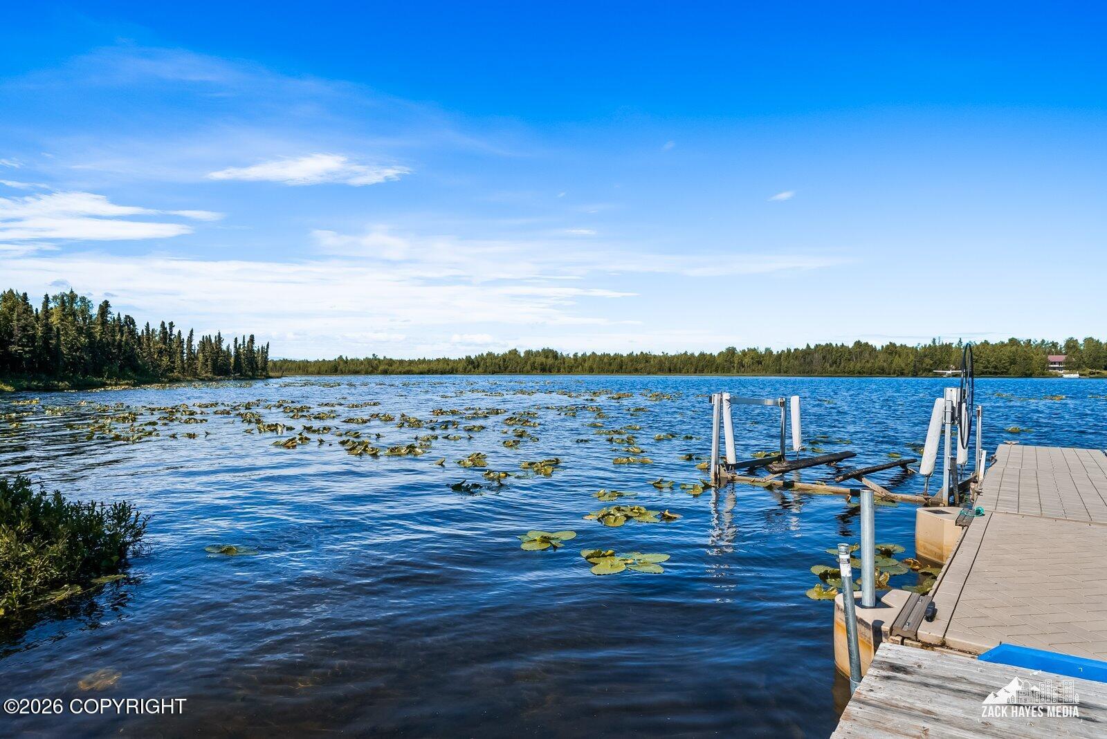3732 S Horseshoe Lake Road Property Photo 14
