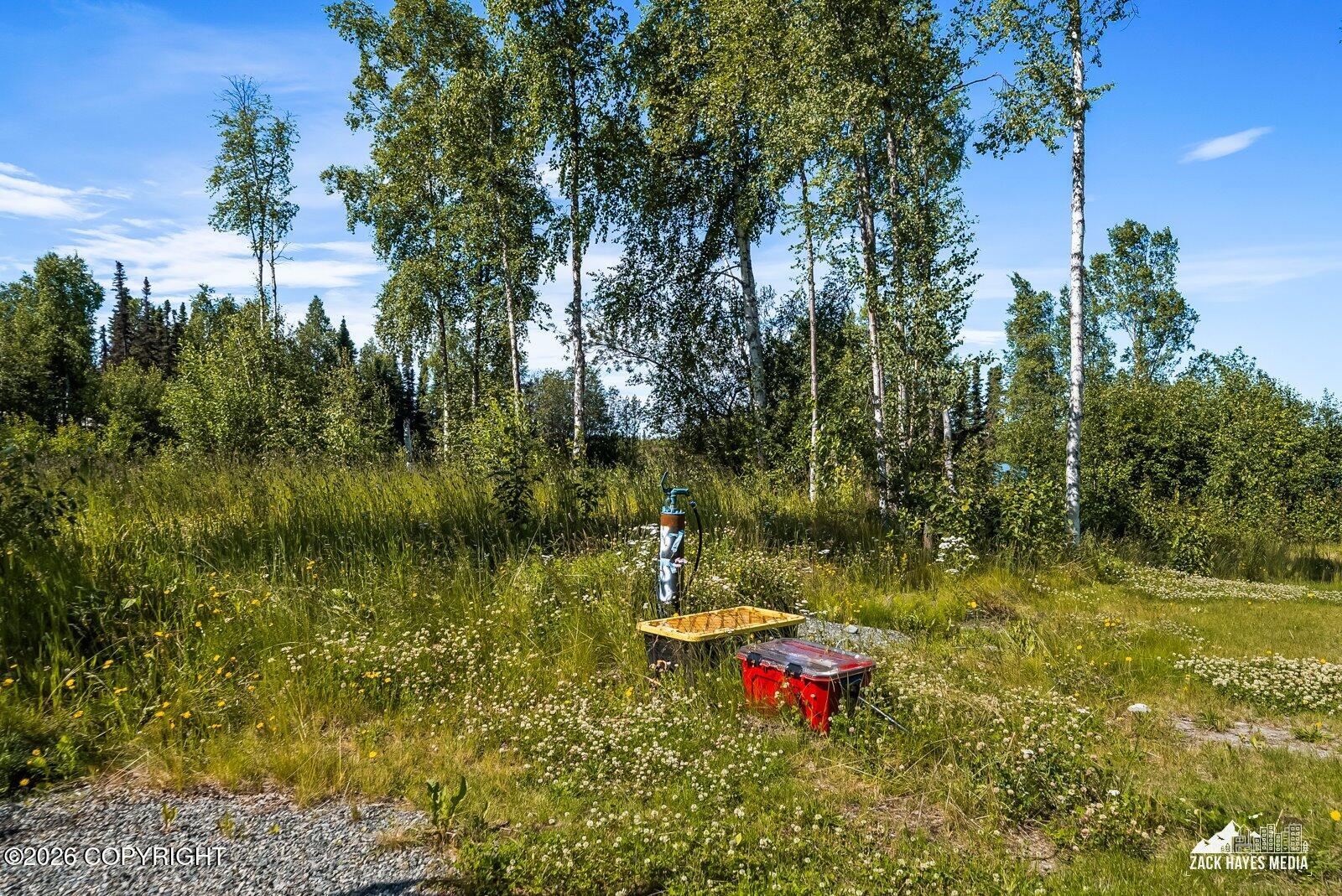 3732 S Horseshoe Lake Road Property Photo 26
