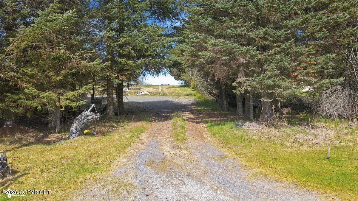 32905 Shorebird Lane Property Photo 52