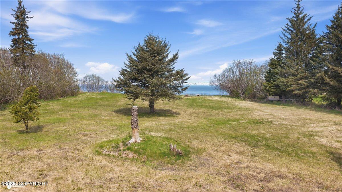 32905 Shorebird Lane Property Photo 67
