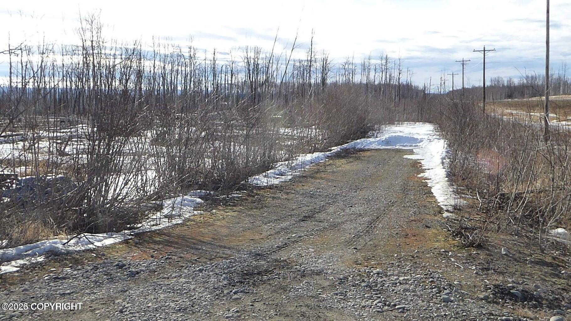 56731 S Parks Highway Property Photo 2