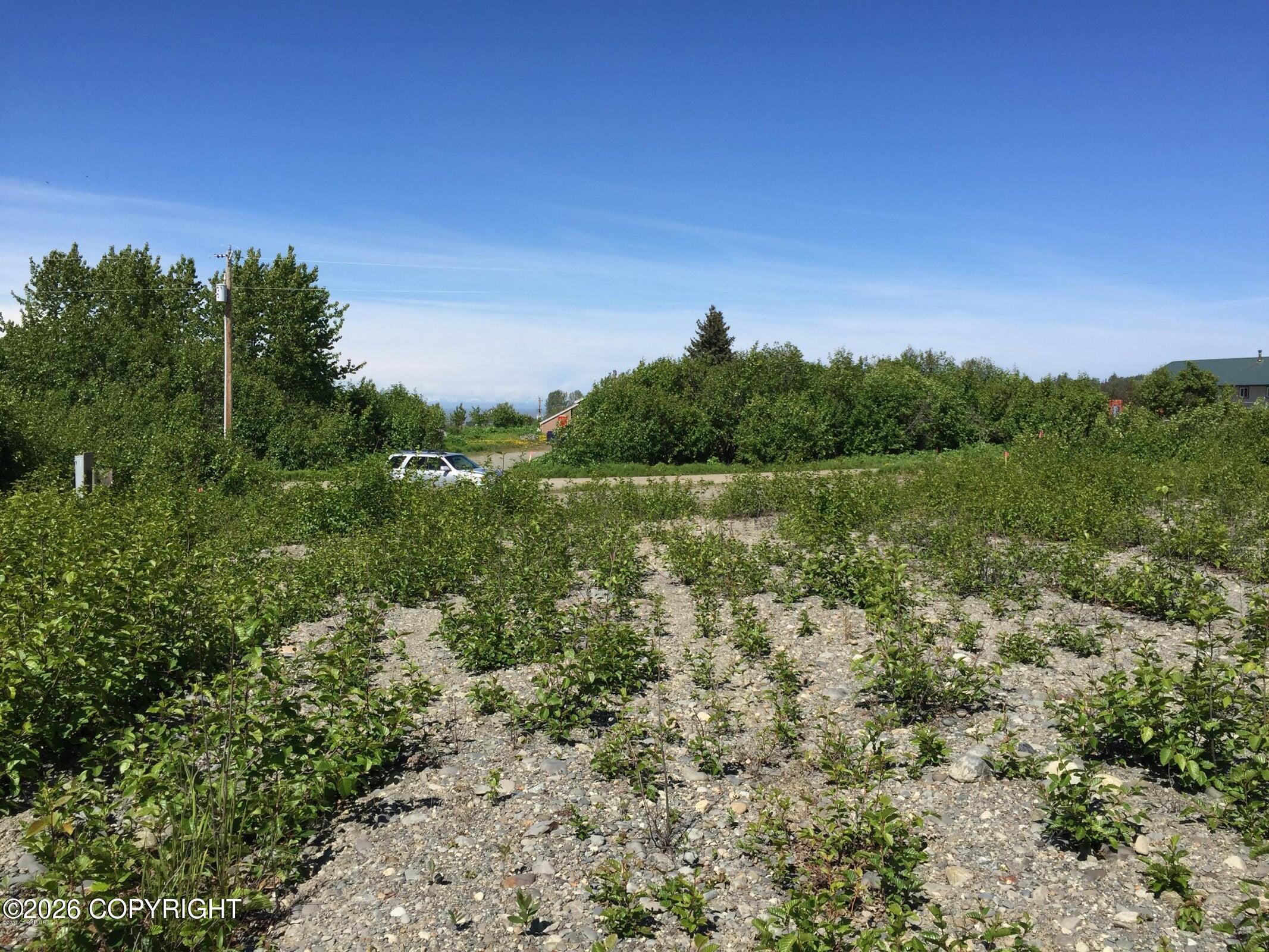 66417 Alder Avenue Property Photo 6