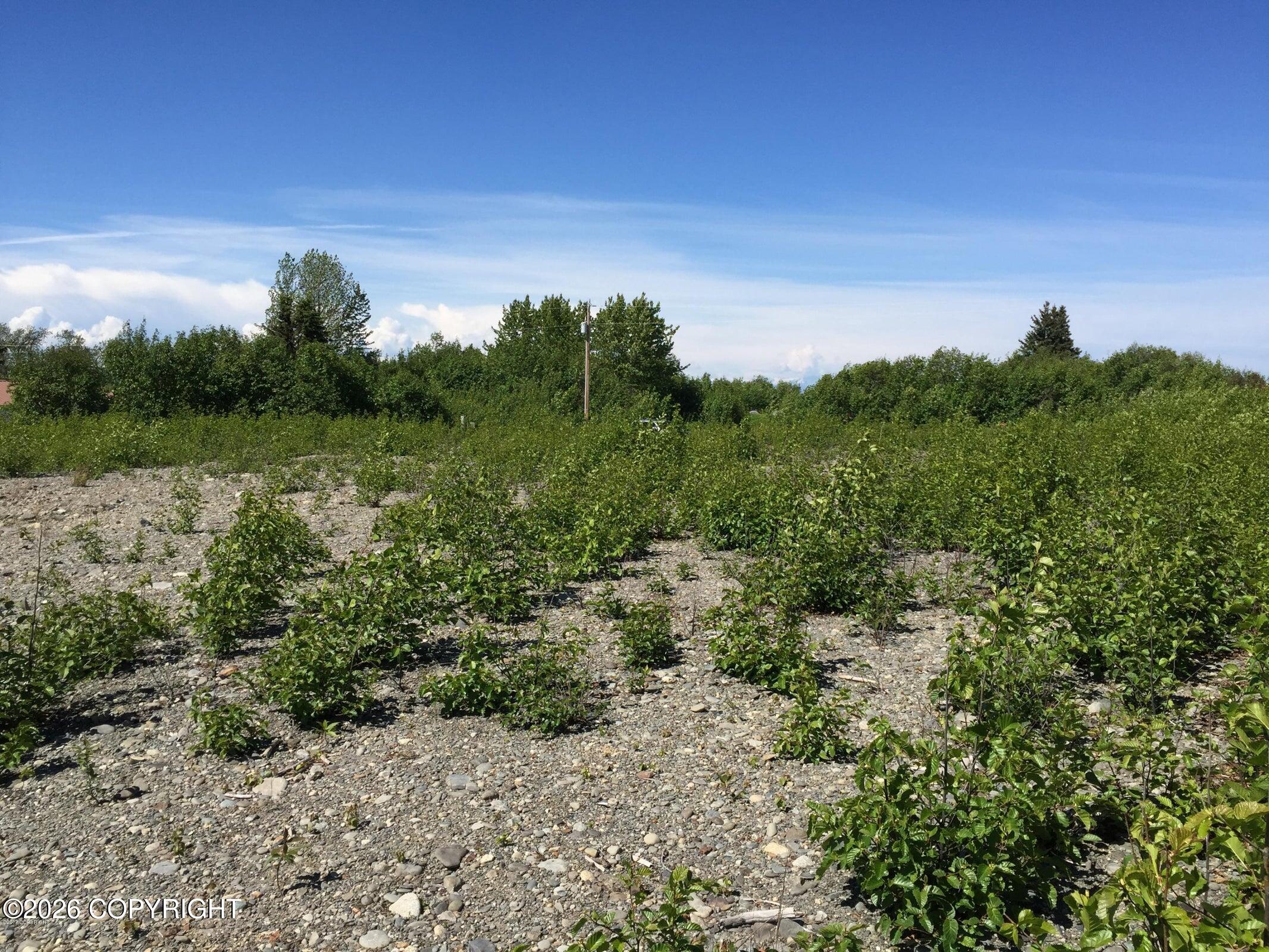 66417 Alder Avenue Property Photo 9