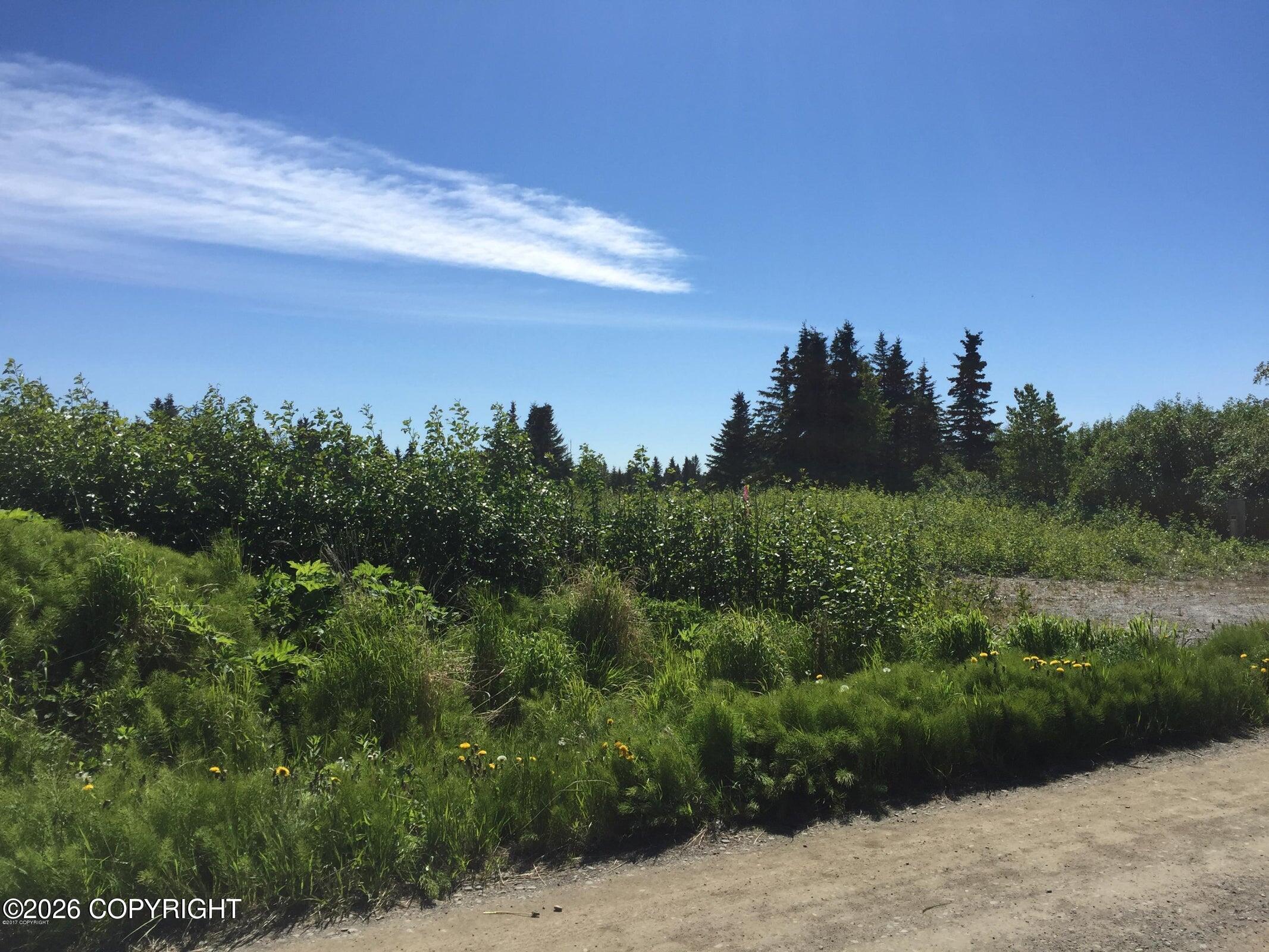 66417 Alder Avenue Property Photo 11