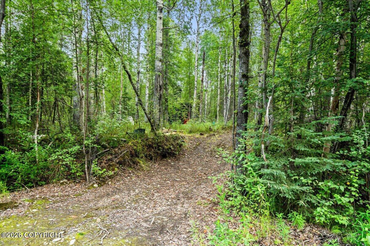 48761 S Silver Salmon Drive Property Photo 17