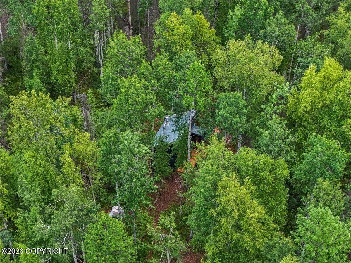 48761 S Silver Salmon Drive Property Photo 27