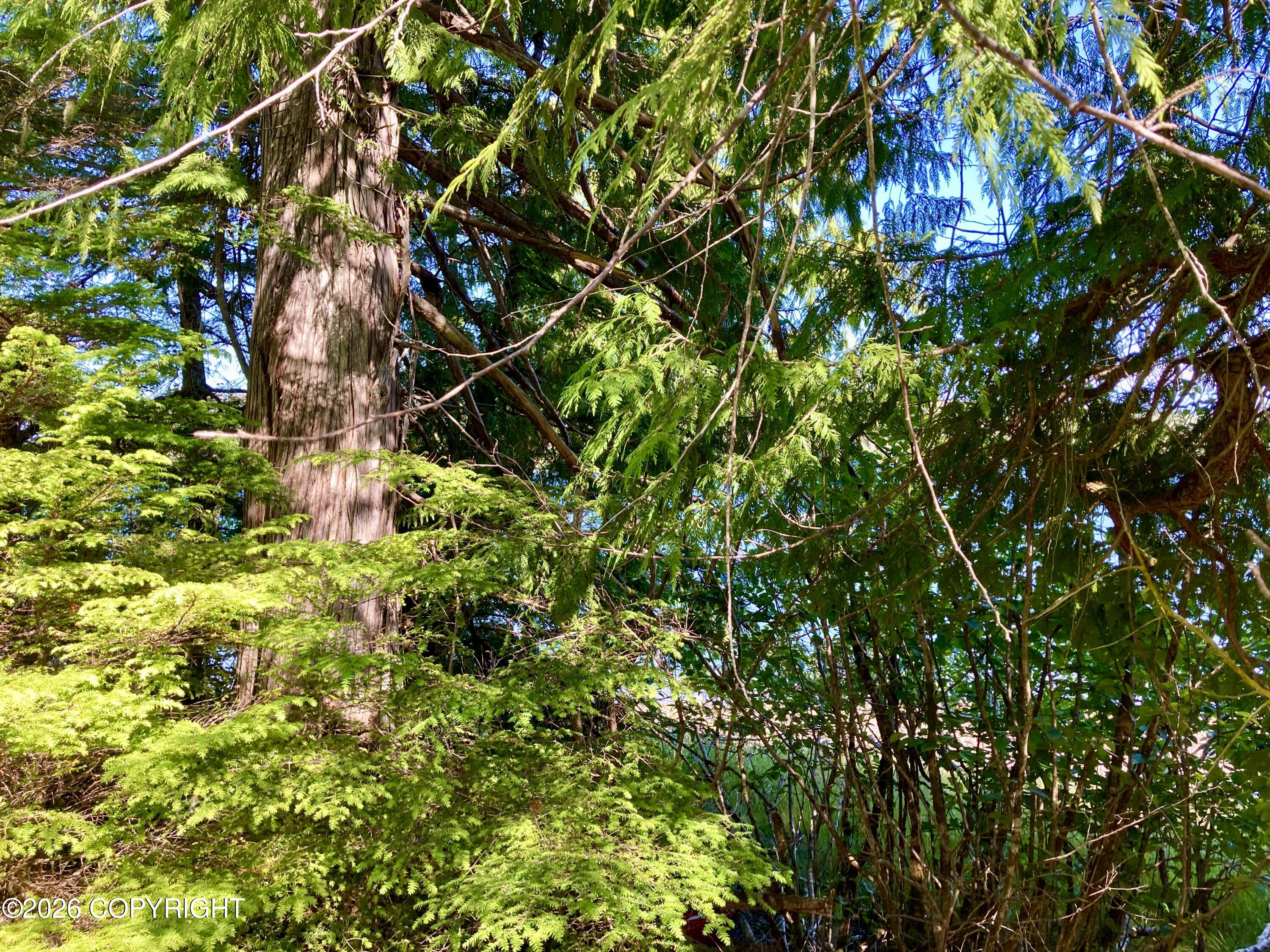 L9 North Wadleigh Property Photo 11
