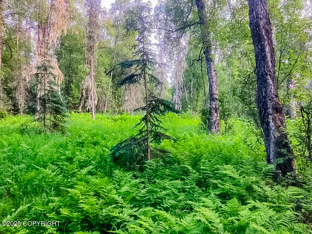 Asls Papa Bear Lake Area Property Photo 2